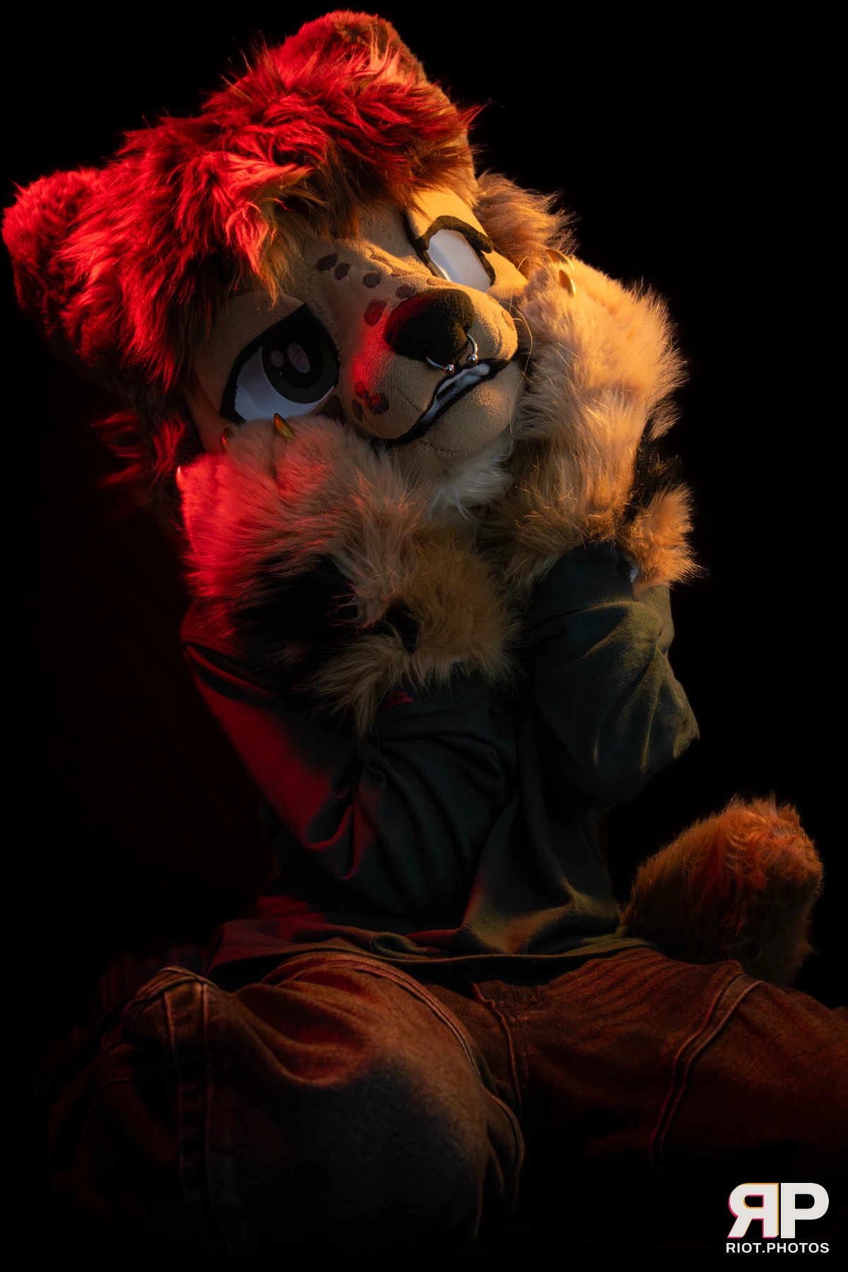 Lysander — furry & pup photography by Fluffy Riot — photo 37