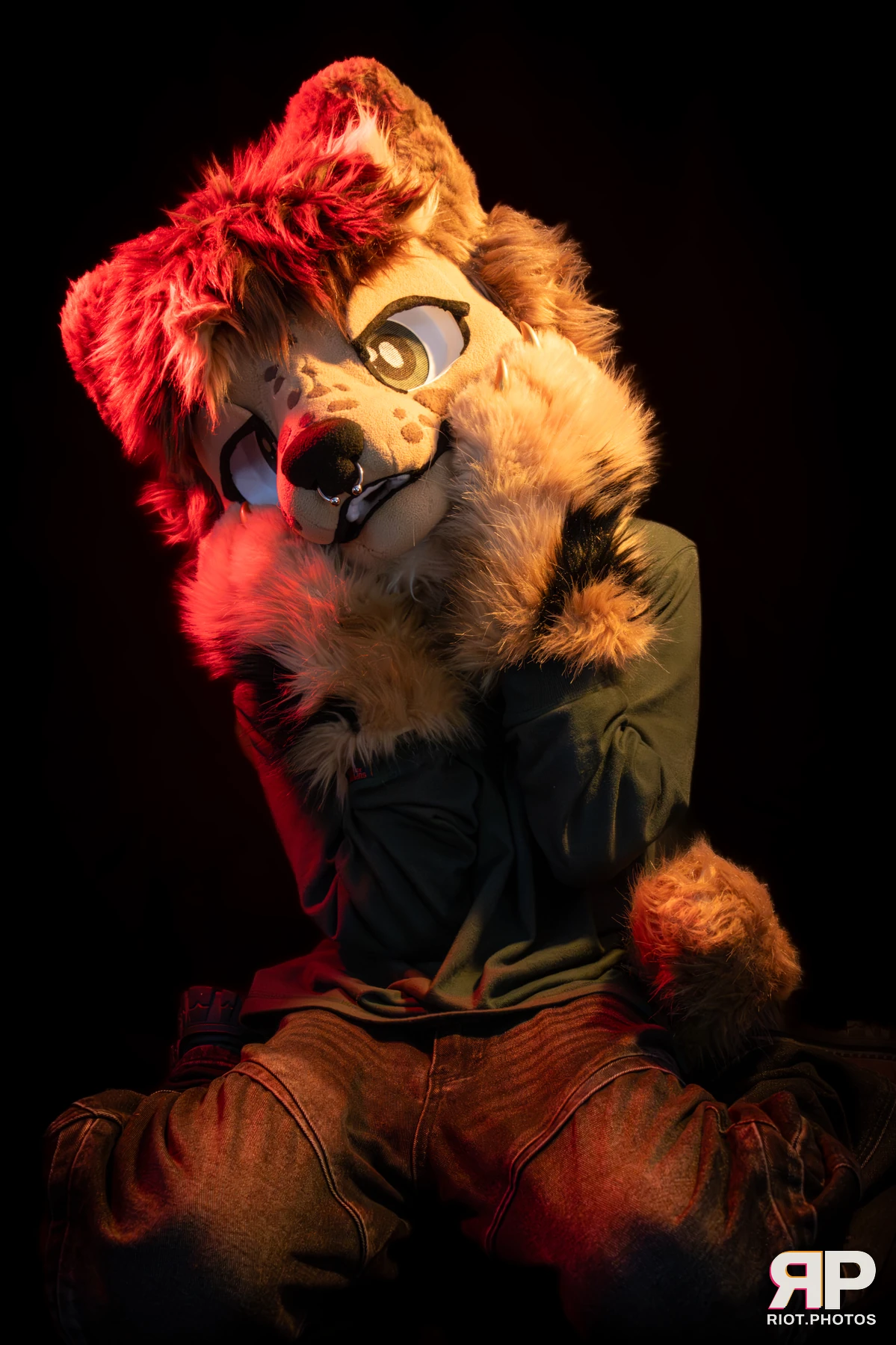 Lysander — furry & pup photography by Fluffy Riot — photo 38