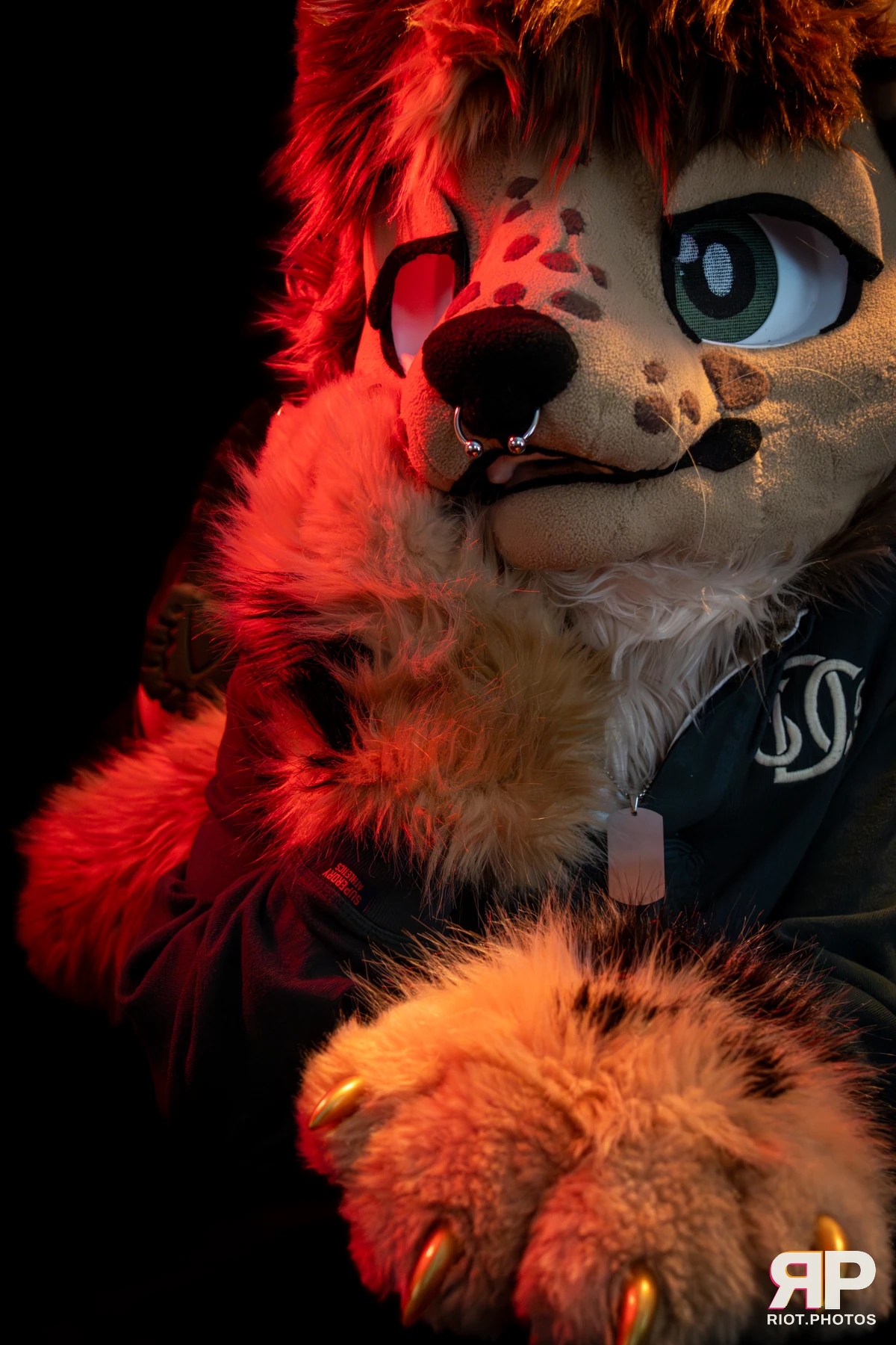 Lysander — furry & pup photography by Fluffy Riot — photo 42