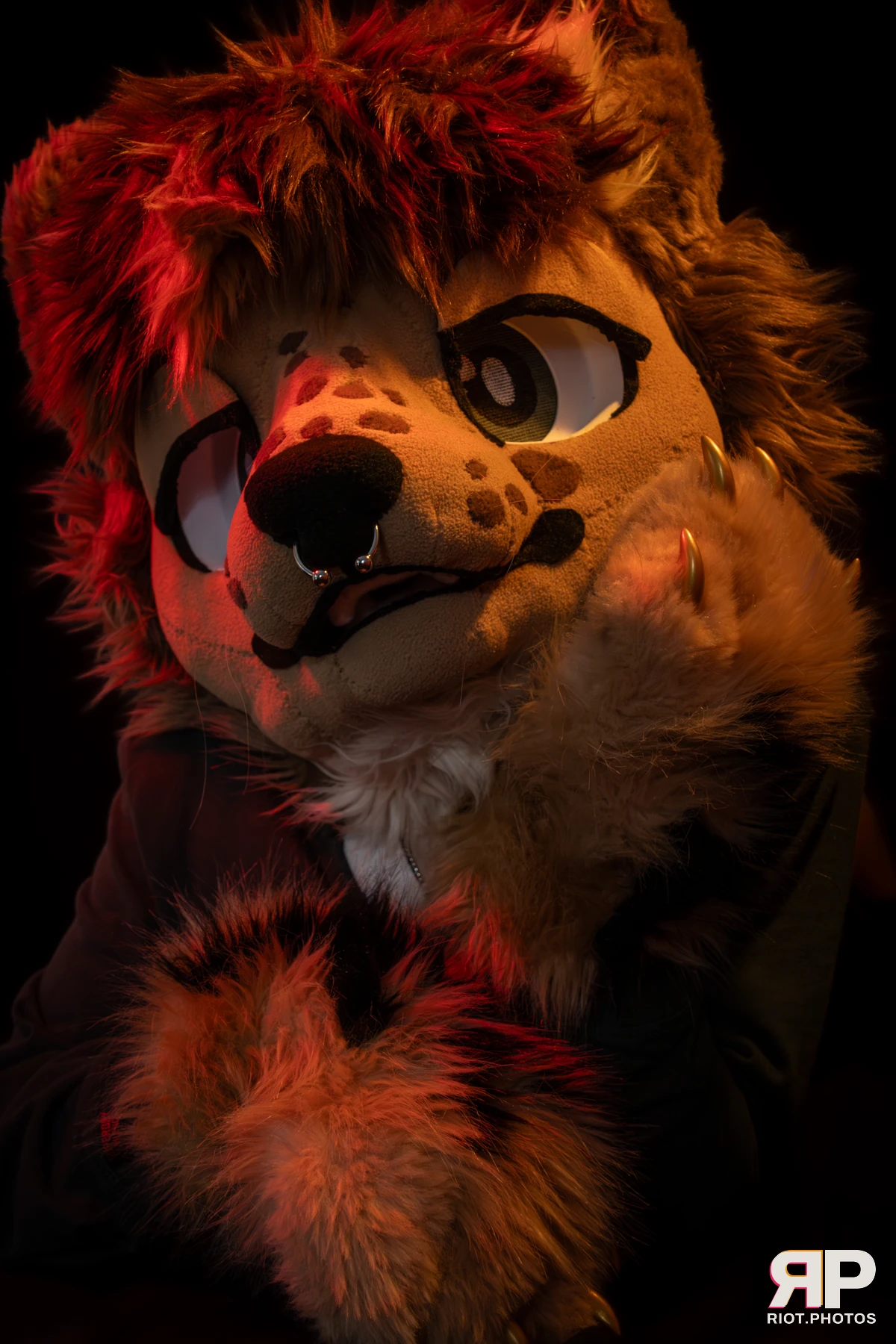 Lysander — furry & pup photography by Fluffy Riot — photo 44