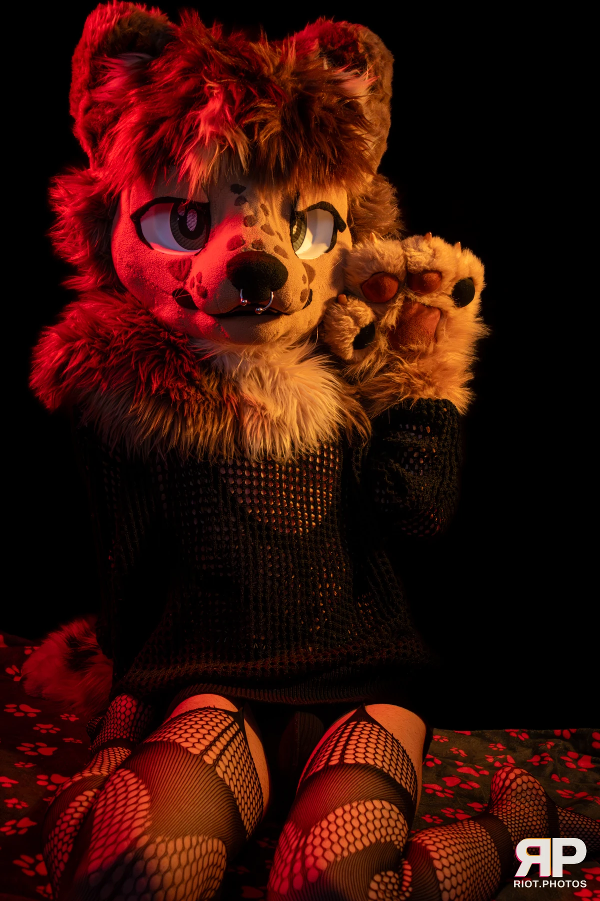 Lysander — furry & pup photography by Fluffy Riot — photo 45