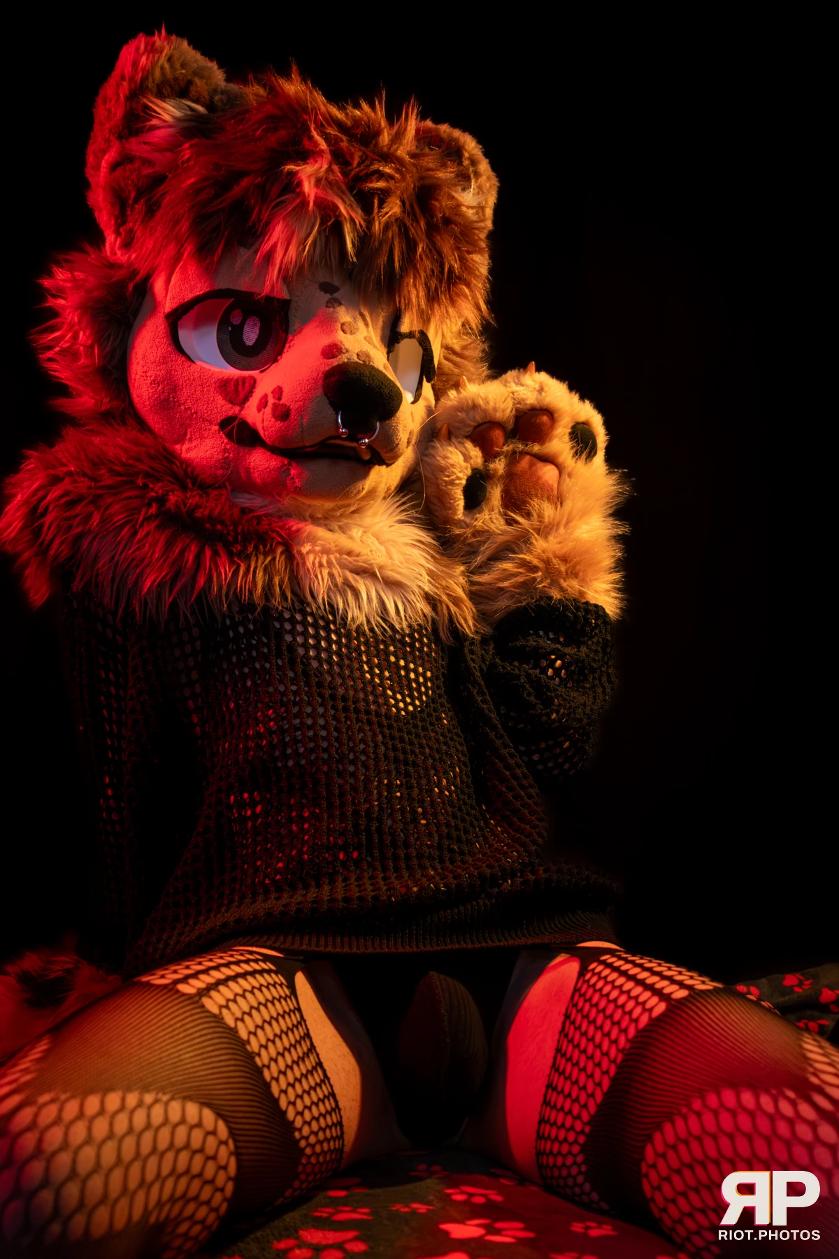 Lysander — furry & pup photography by Fluffy Riot — photo 46