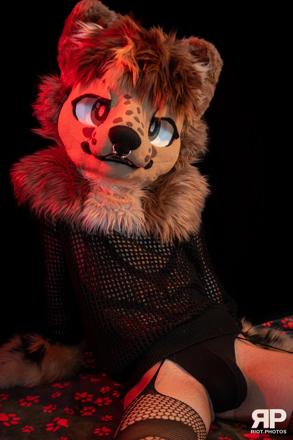Lysander — furry & pup photography by Fluffy Riot — photo 48