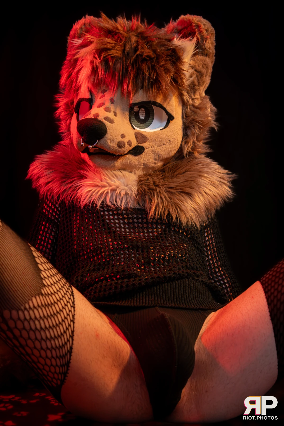 Lysander — furry & pup photography by Fluffy Riot — photo 49