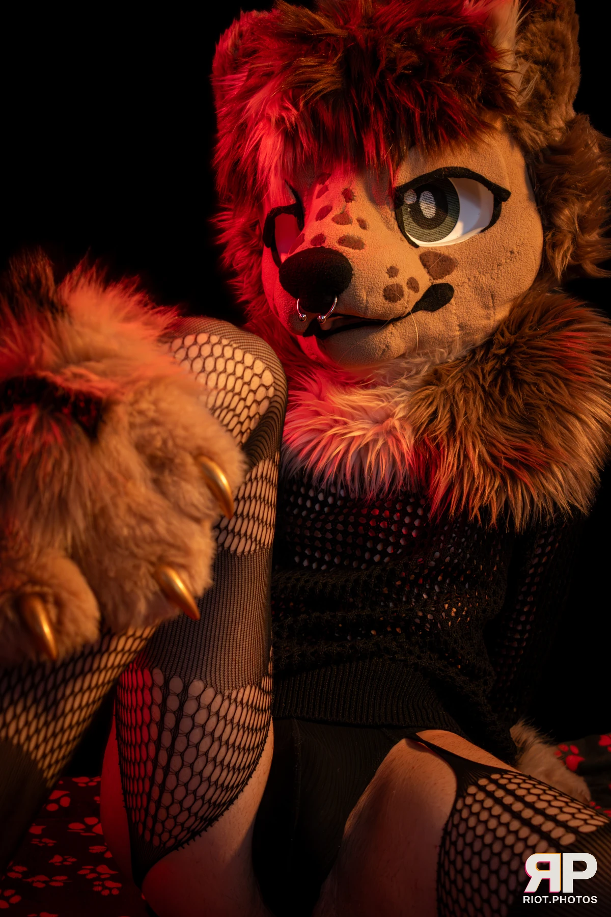 Lysander — furry & pup photography by Fluffy Riot — photo 50