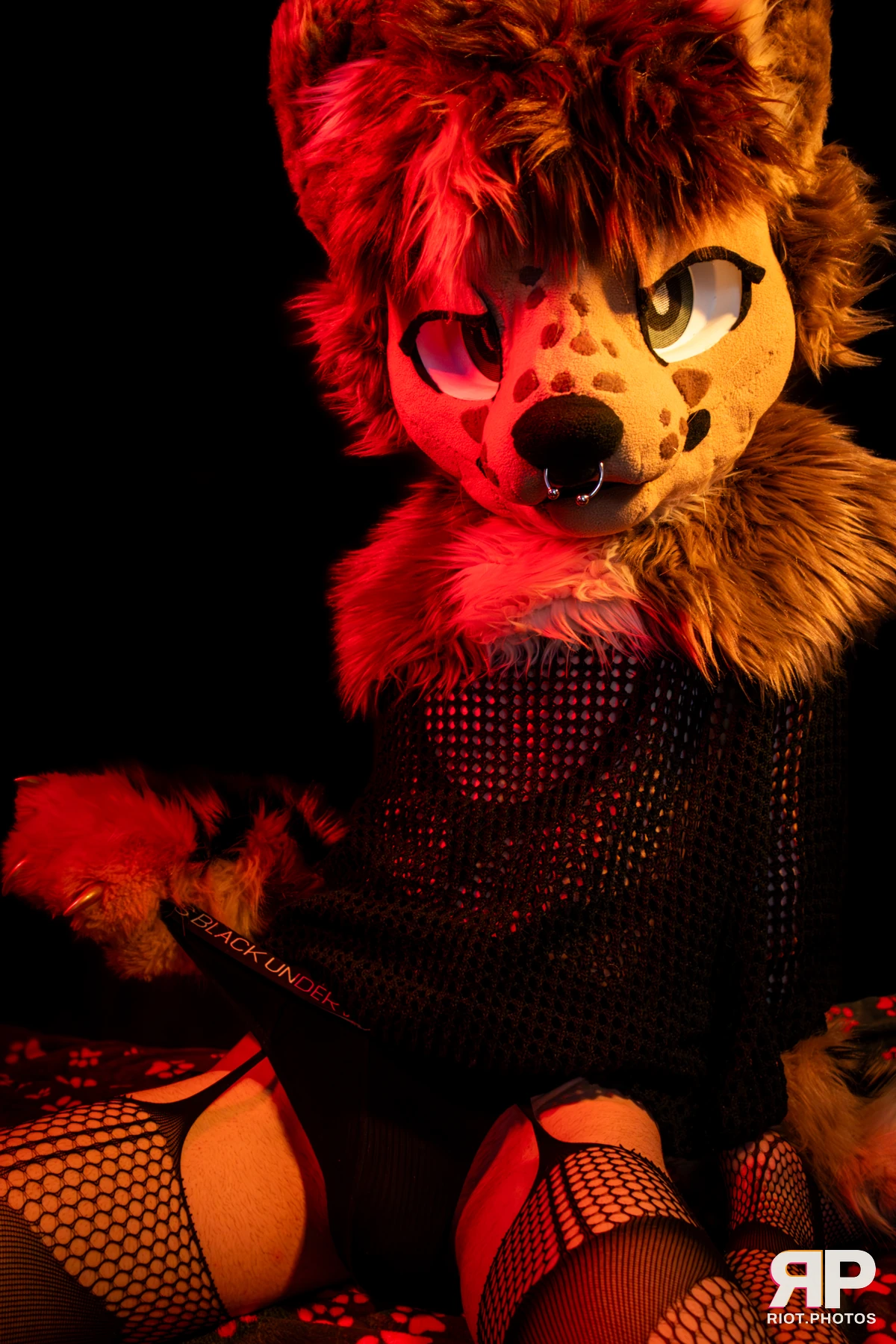 Lysander — furry & pup photography by Fluffy Riot — photo 52