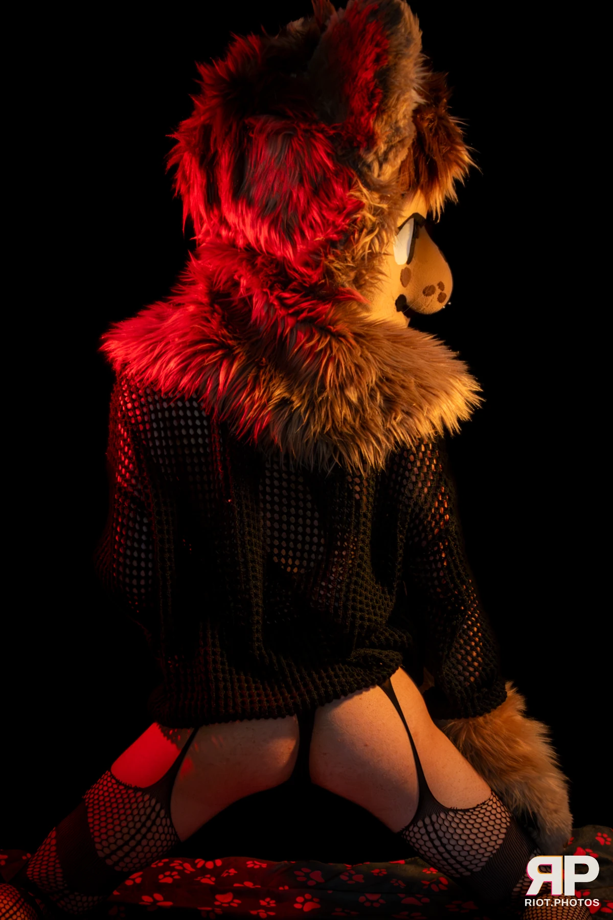 Lysander — furry & pup photography by Fluffy Riot — photo 53