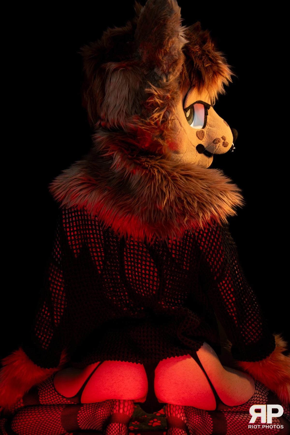 Lysander — furry & pup photography by Fluffy Riot — photo 54