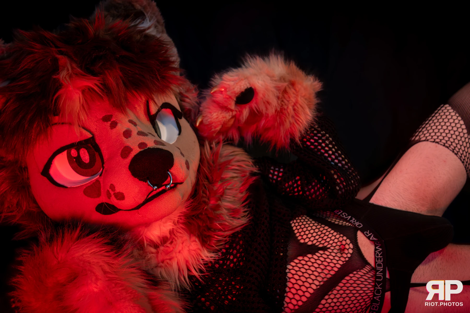 Lysander — furry & pup photography by Fluffy Riot — photo 56
