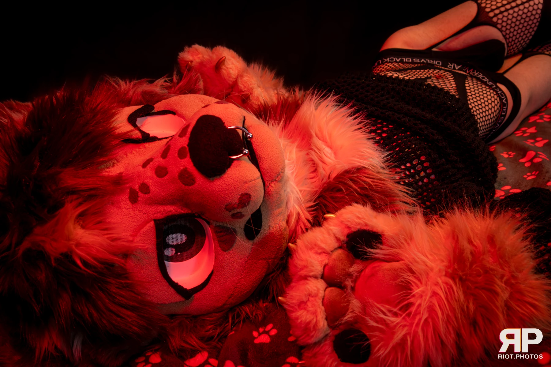 Lysander — furry & pup photography by Fluffy Riot — photo 57