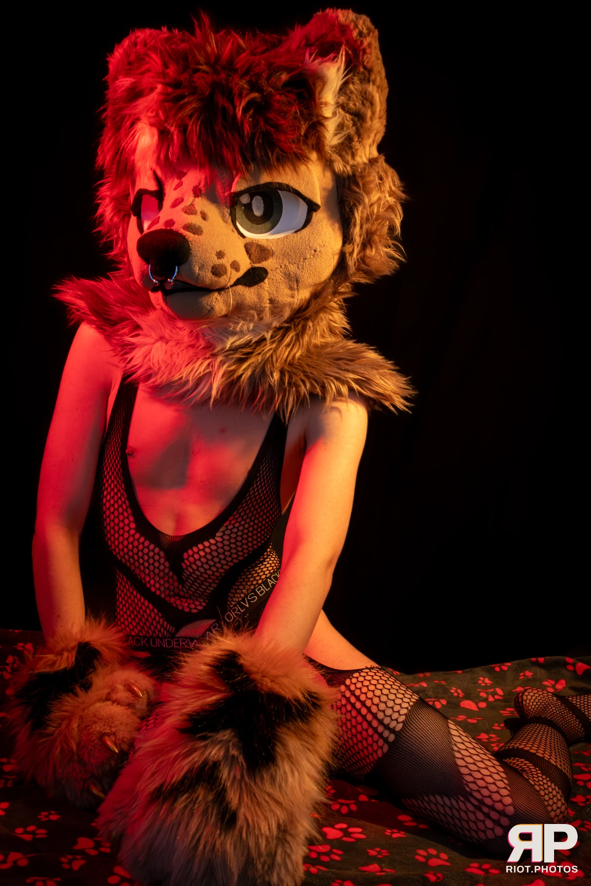 Lysander — furry & pup photography by Fluffy Riot — photo 60
