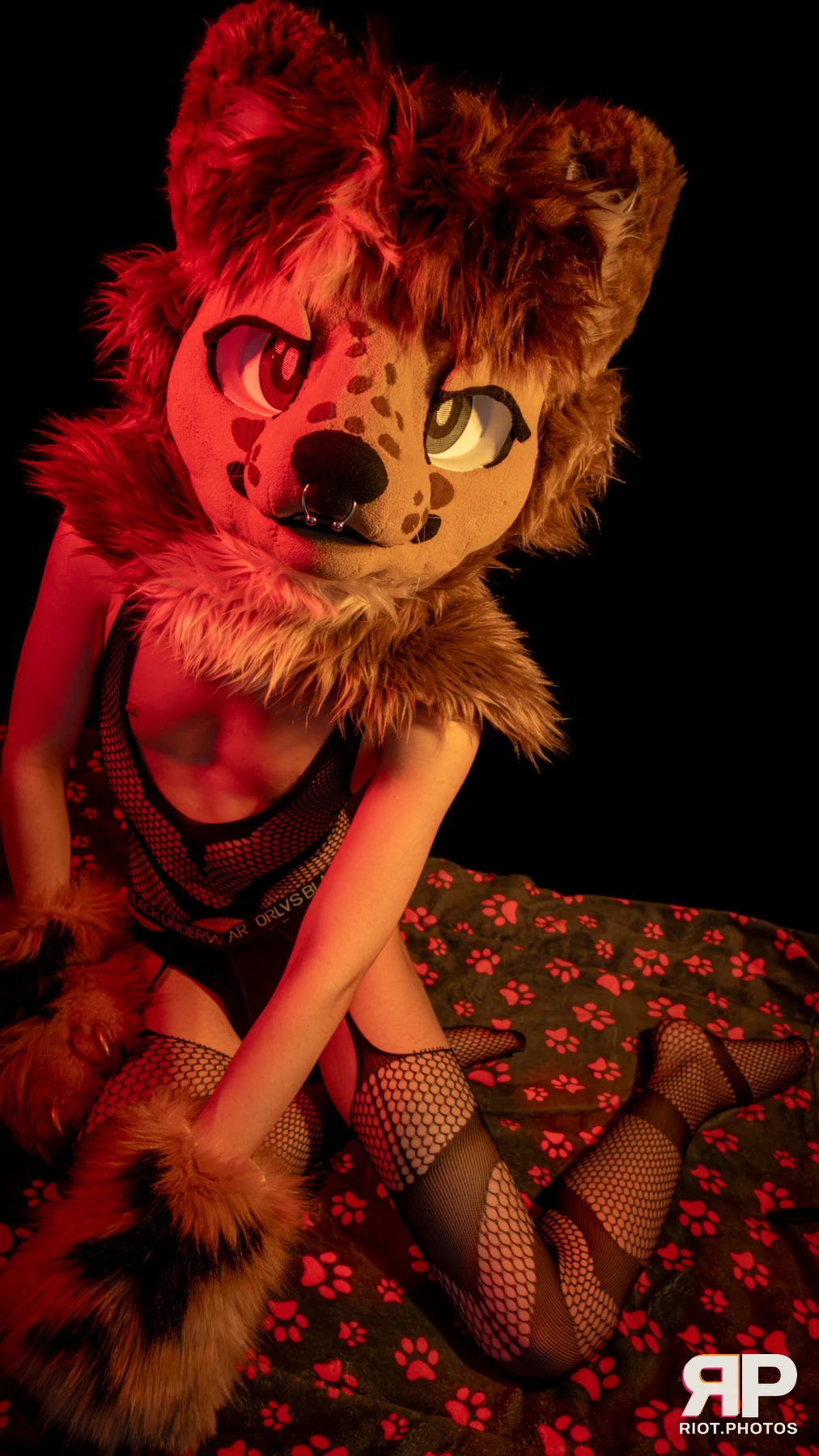 Lysander — furry & pup photography by Fluffy Riot — photo 62
