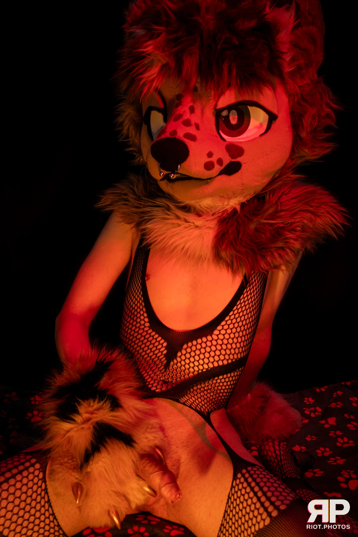 Lysander — furry & pup photography by Fluffy Riot — photo 66