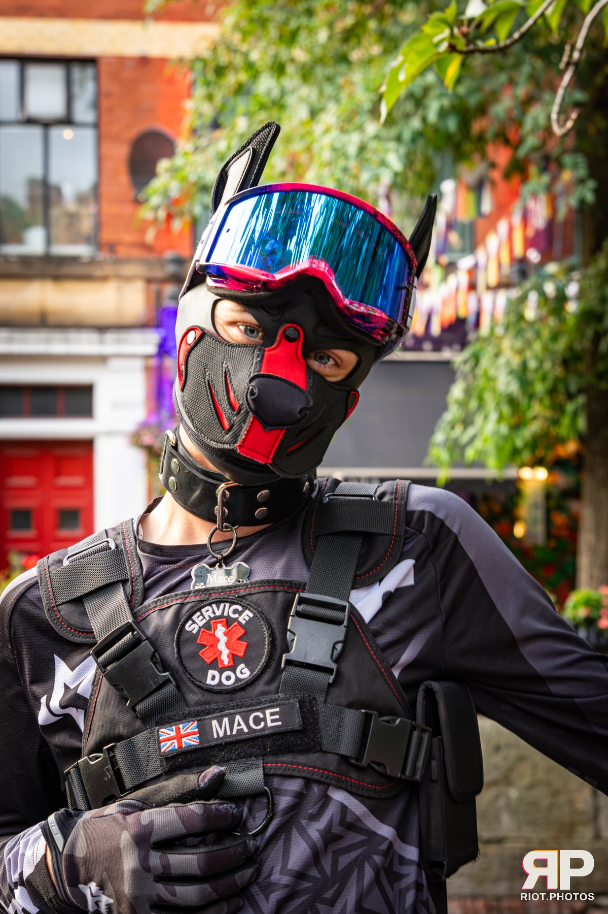 Mace - furry & pup photography by Fluffy Riot - photo 43