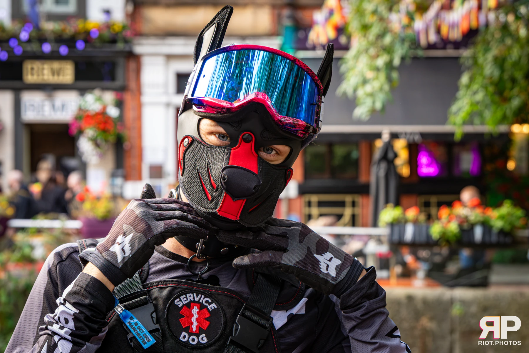 Mace - furry & pup photography by Fluffy Riot - photo 42