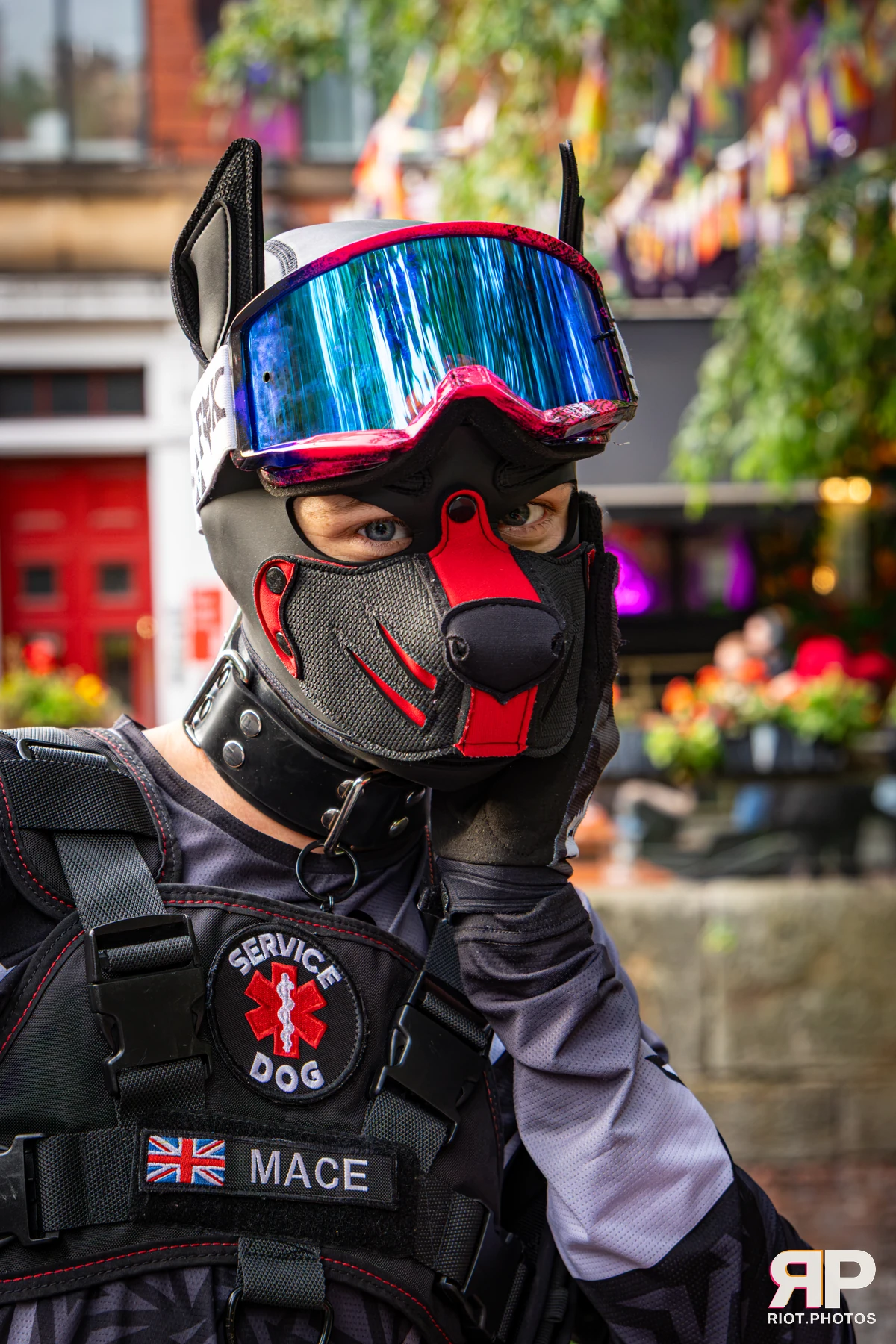 Mace - furry & pup photography by Fluffy Riot - photo 41