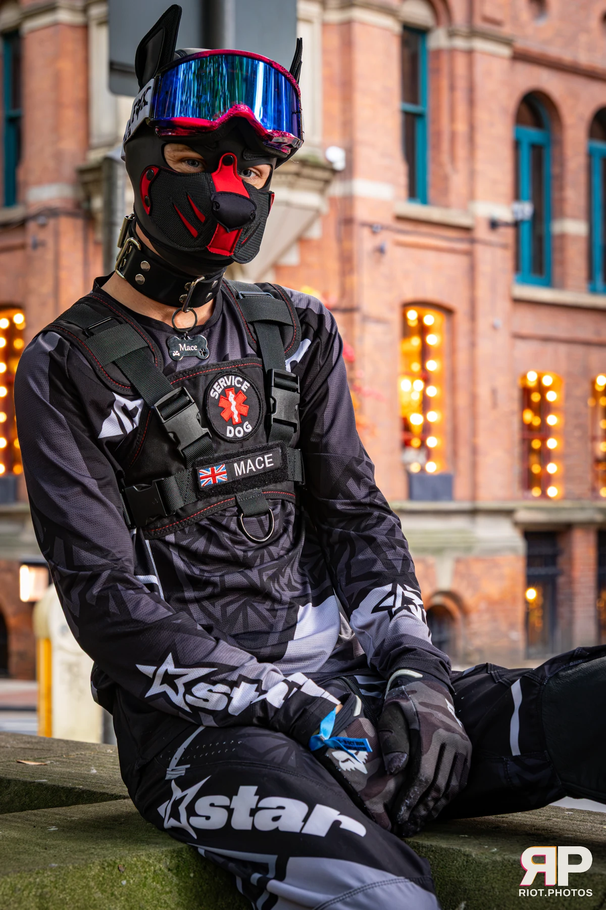 Mace - furry & pup photography by Fluffy Riot - photo 38