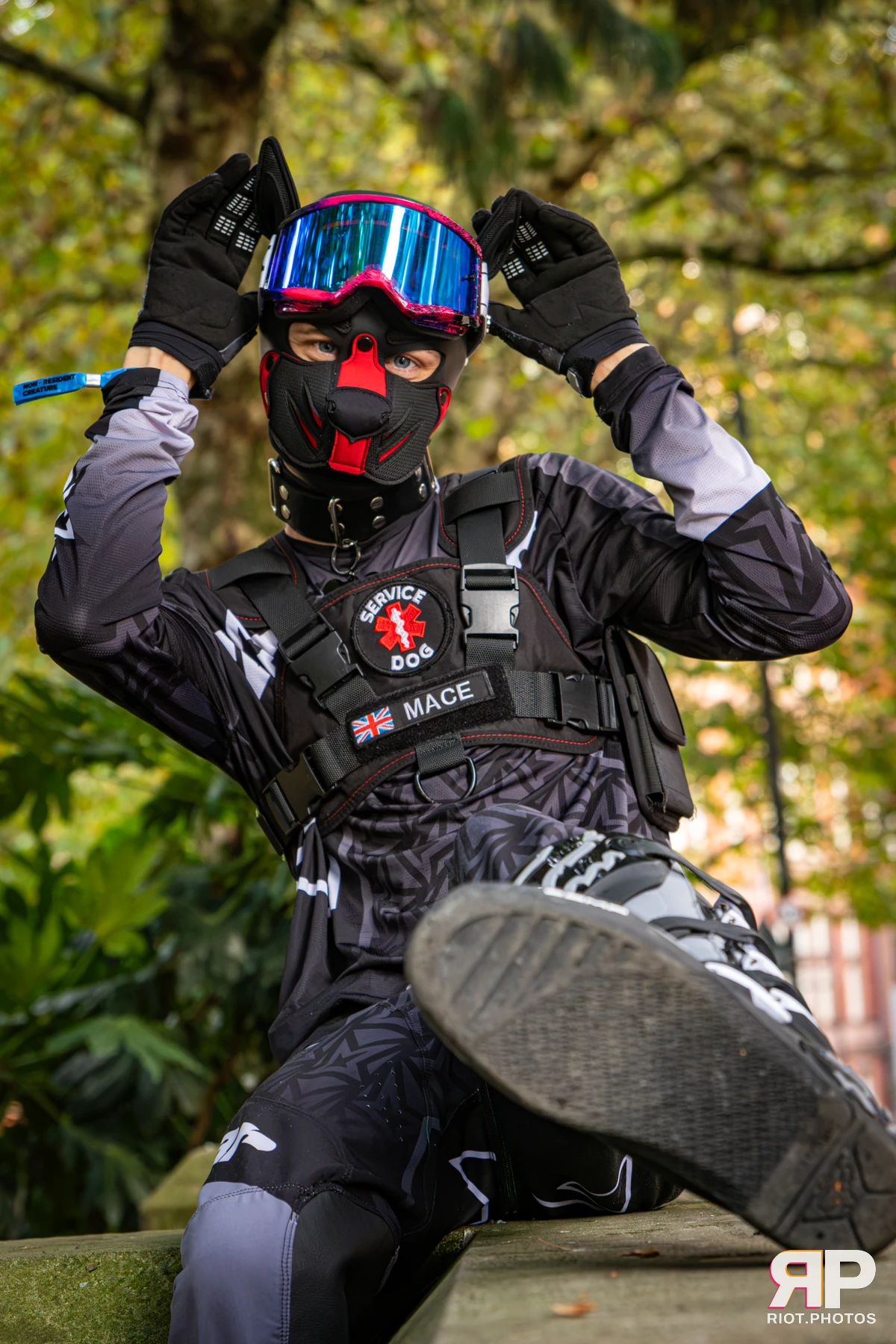 Mace - furry & pup photography by Fluffy Riot - photo 35