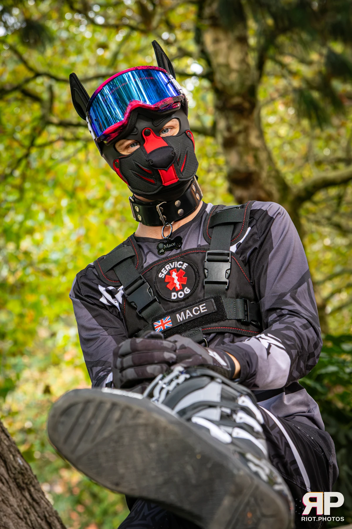 Mace - furry & pup photography by Fluffy Riot - photo 33