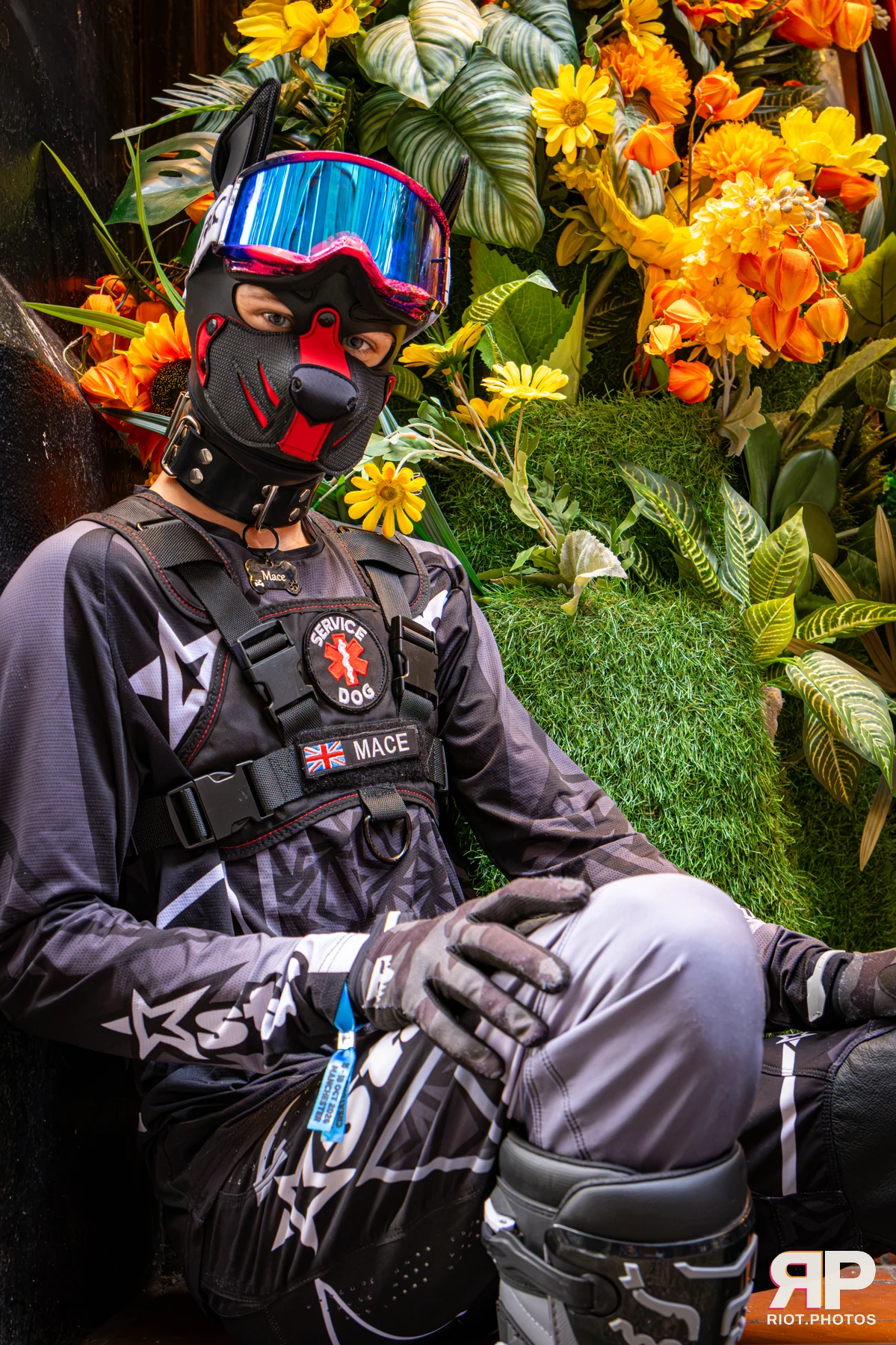 Mace - furry & pup photography by Fluffy Riot - photo 31