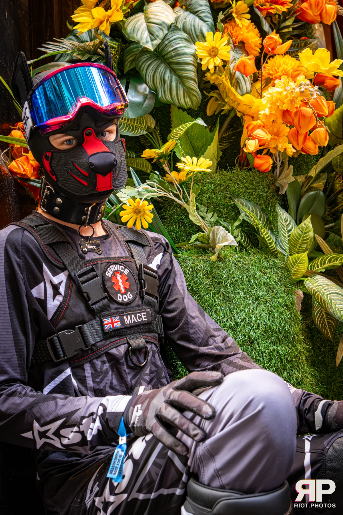 Mace - furry & pup photography by Fluffy Riot - photo 30