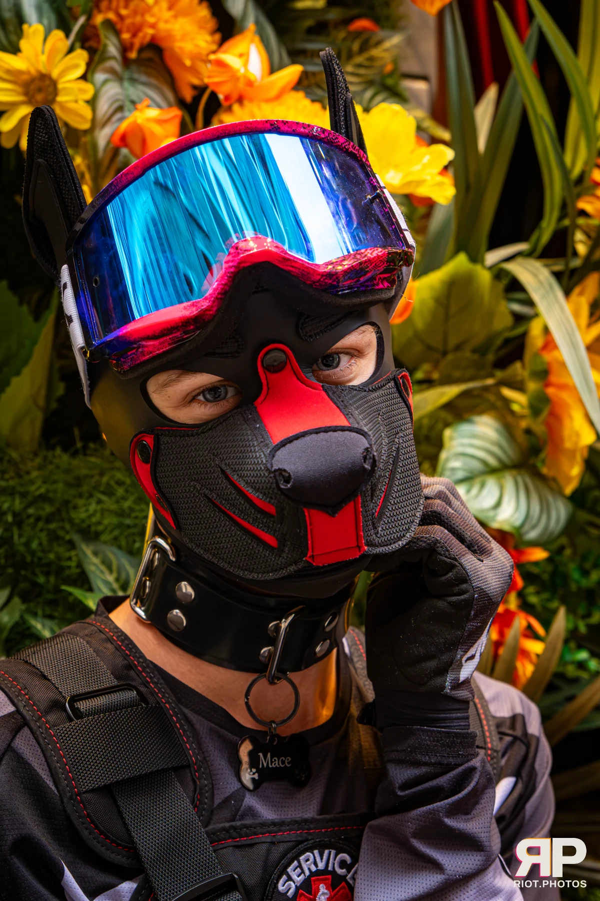 Mace - furry & pup photography by Fluffy Riot - photo 27