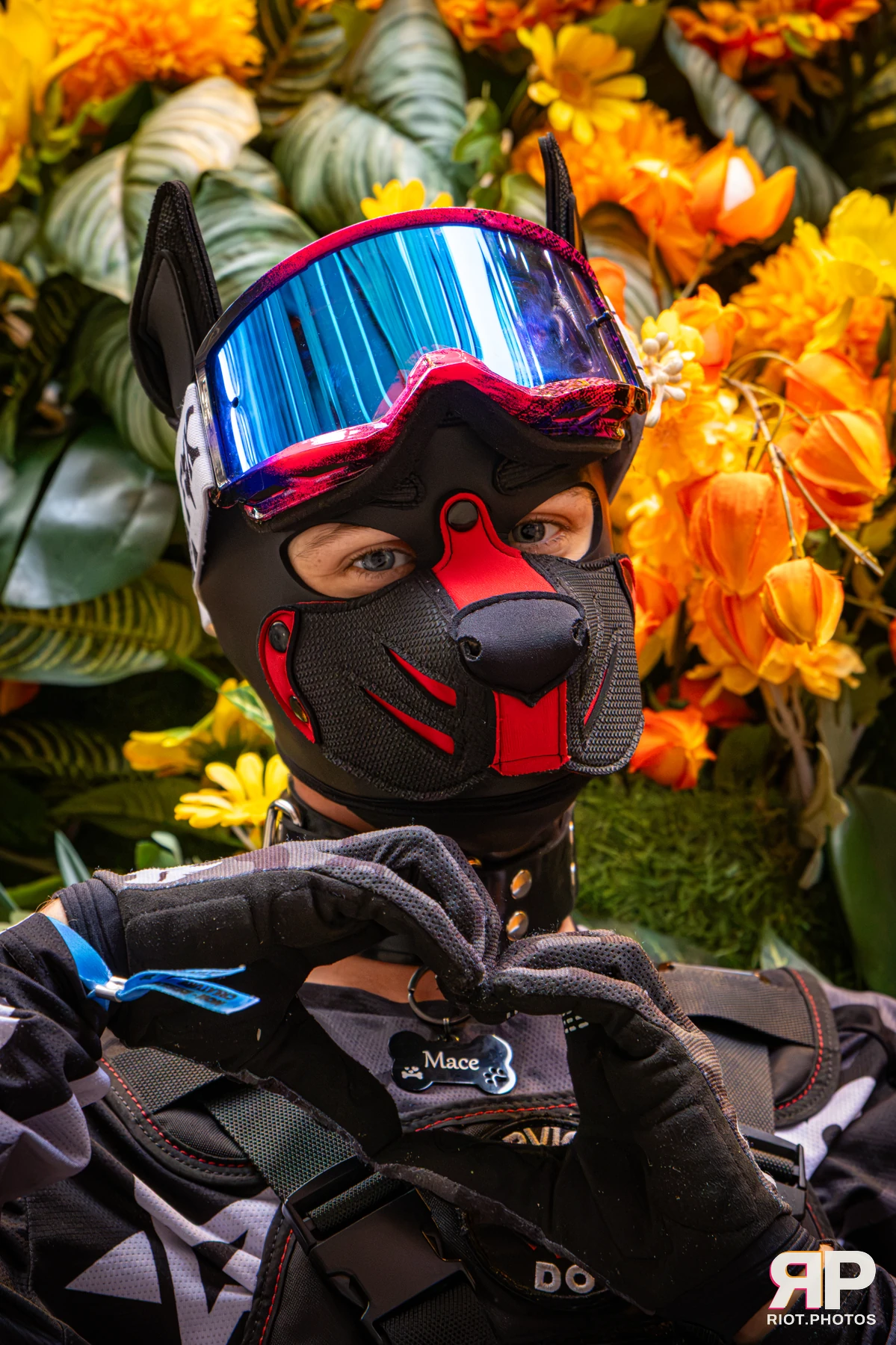 Mace - furry & pup photography by Fluffy Riot - photo 26