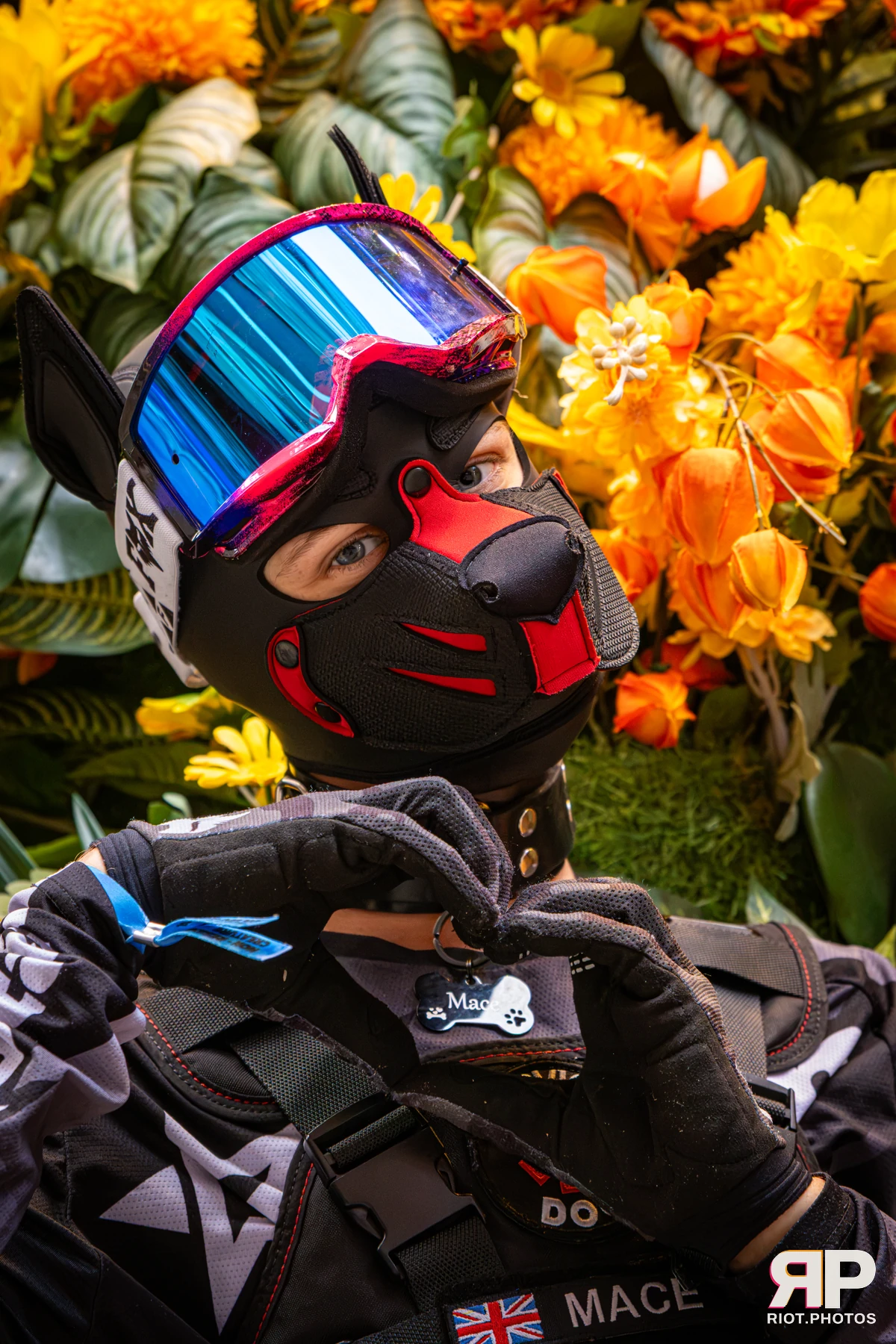 Mace - furry & pup photography by Fluffy Riot - photo 25
