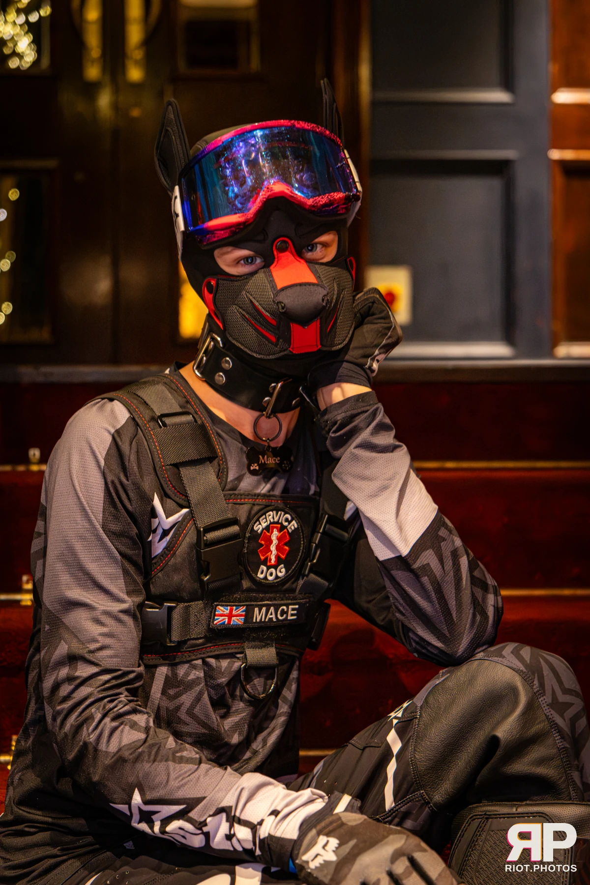 Mace - furry & pup photography by Fluffy Riot - photo 22
