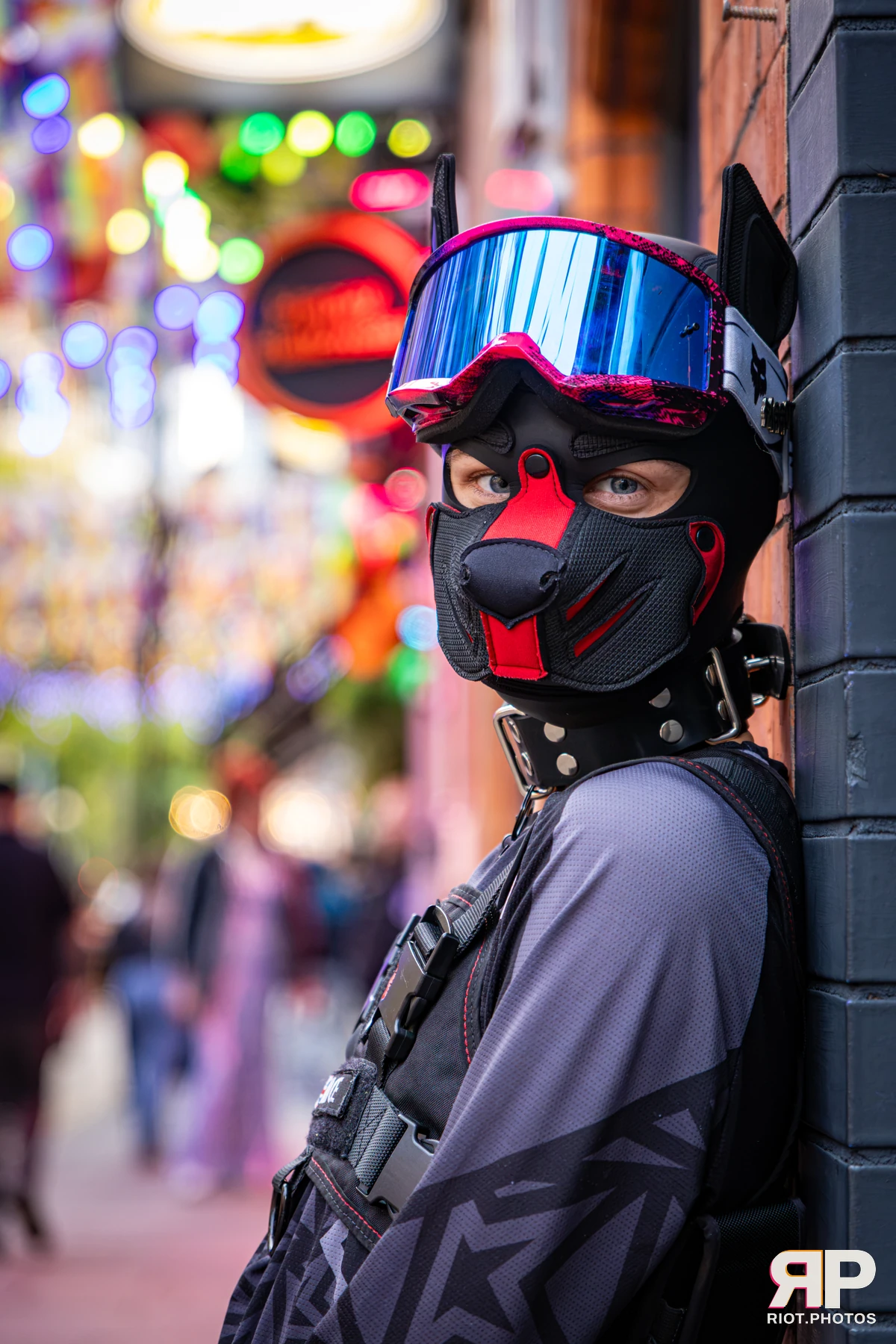 Mace - furry & pup photography by Fluffy Riot - photo 17