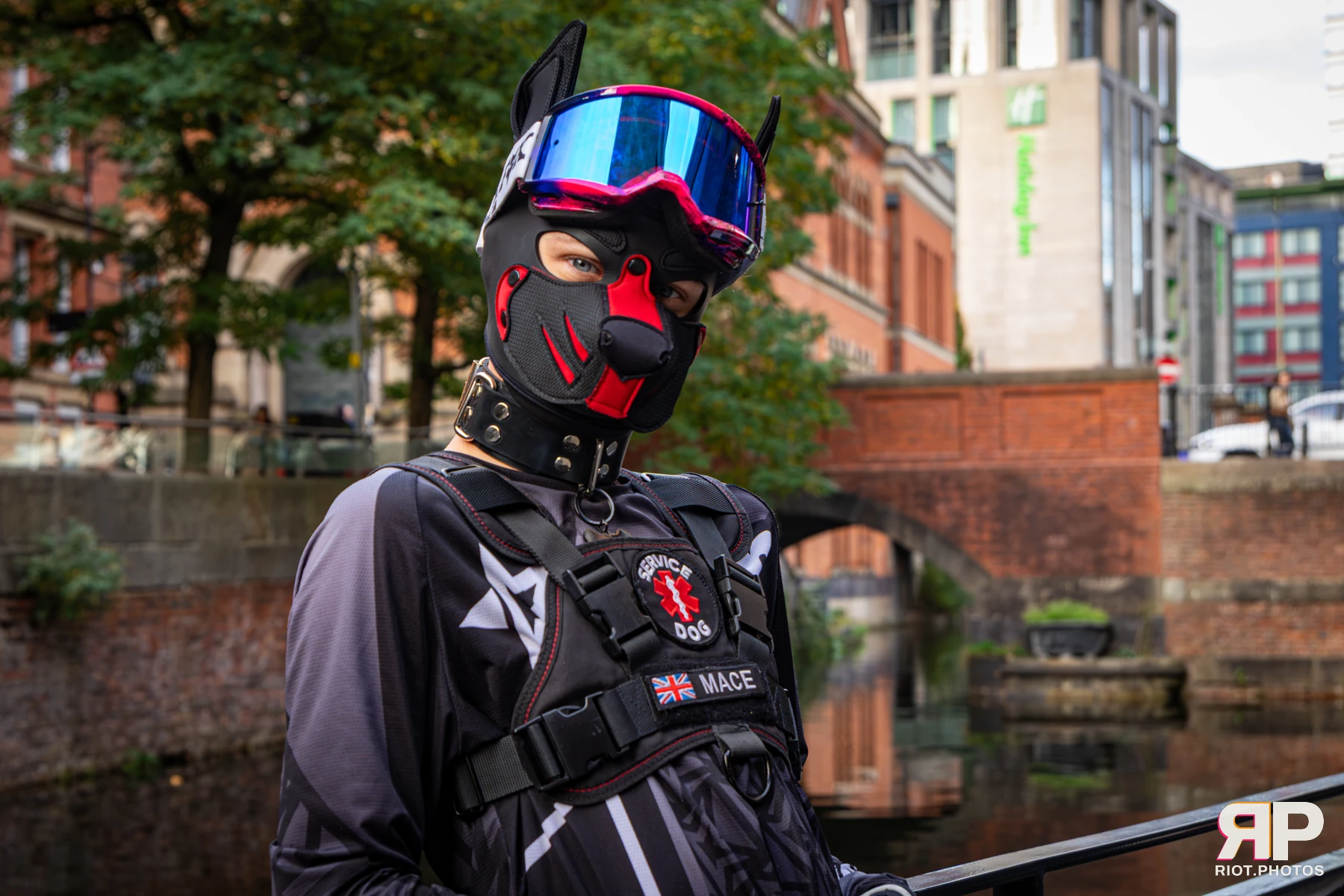 Mace - furry & pup photography by Fluffy Riot - photo 15