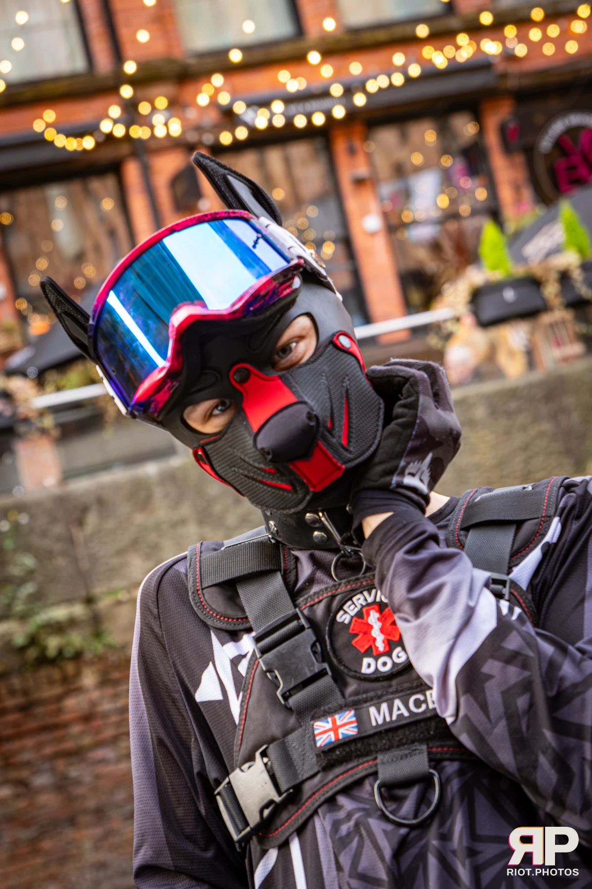 Mace - furry & pup photography by Fluffy Riot - photo 14