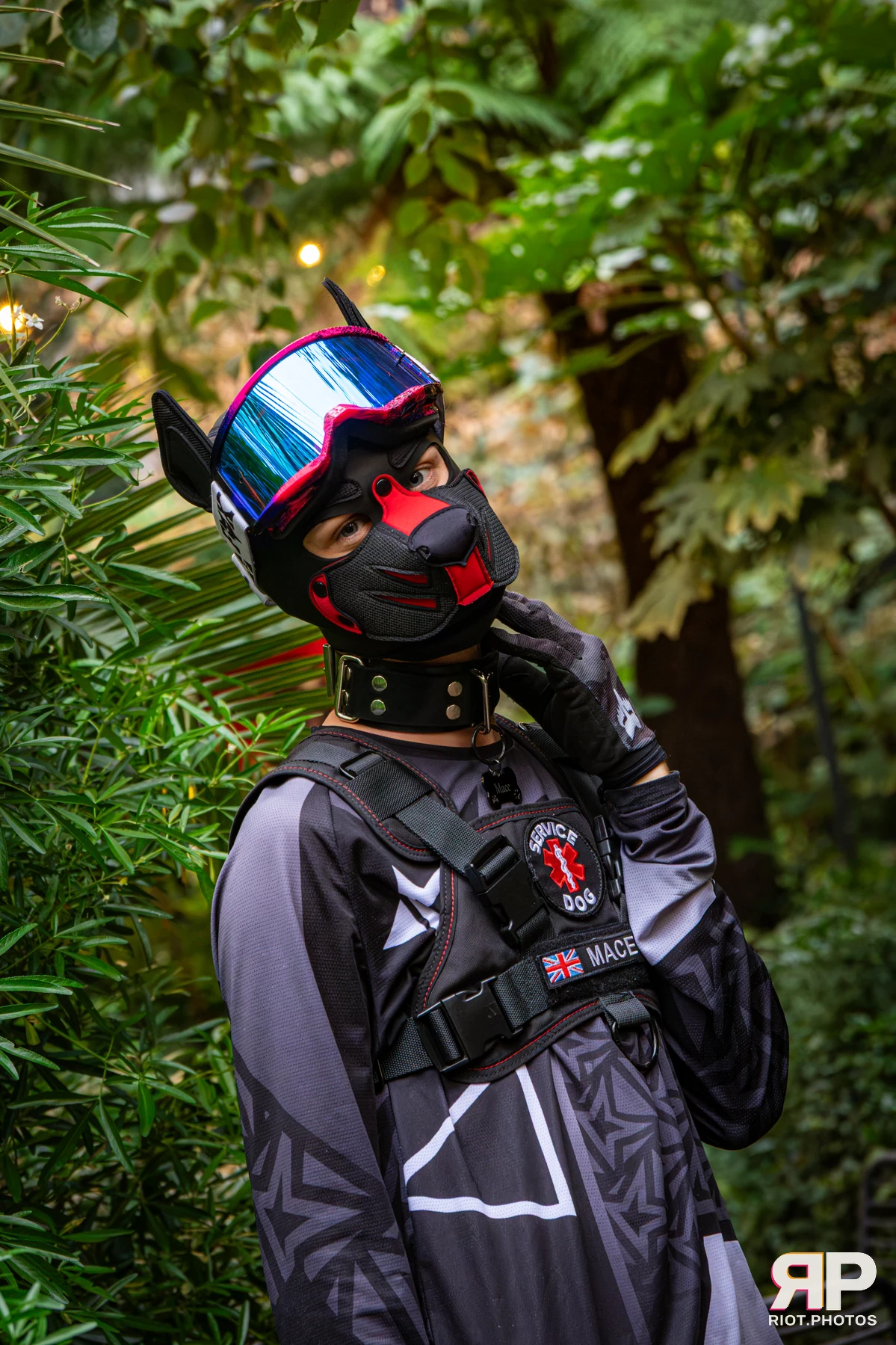 Mace - furry & pup photography by Fluffy Riot - photo 13
