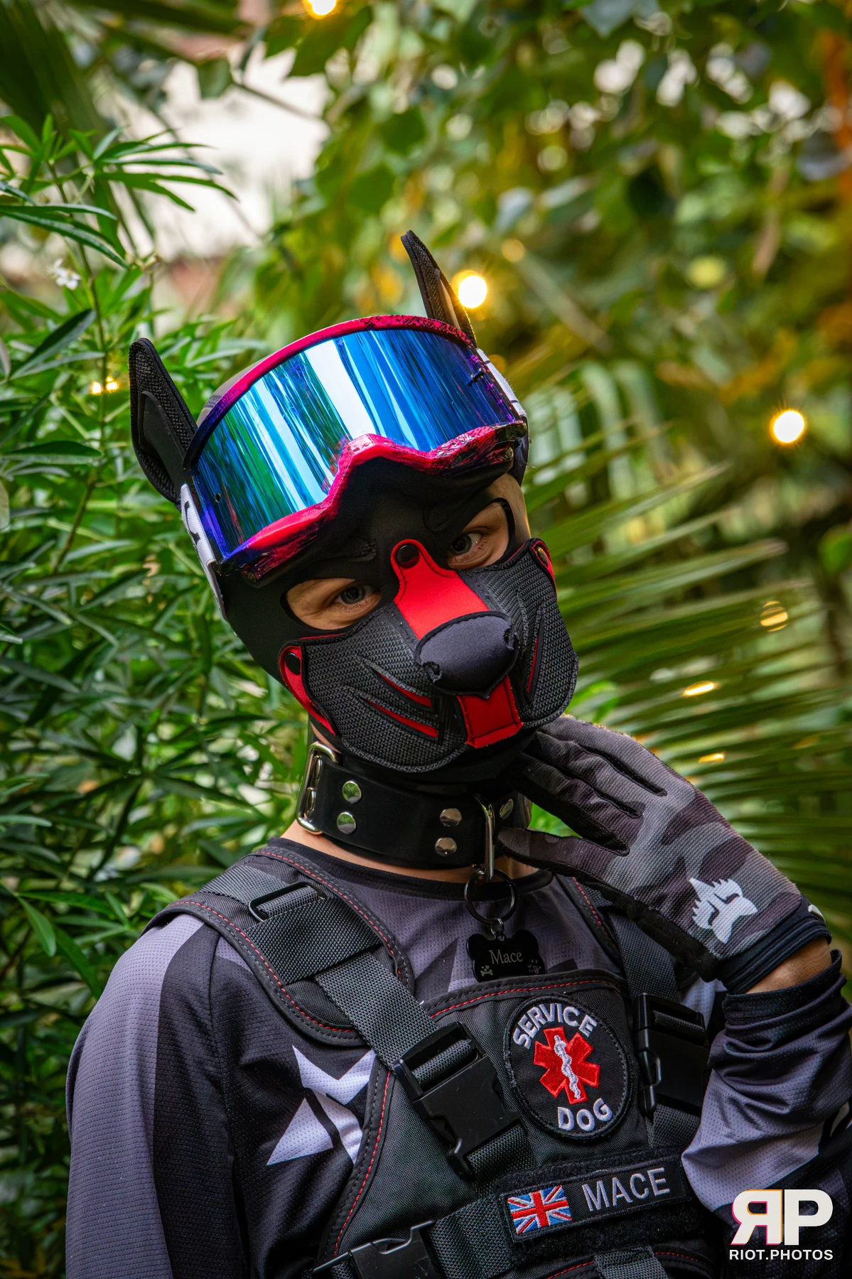 Mace - furry & pup photography by Fluffy Riot - photo 12