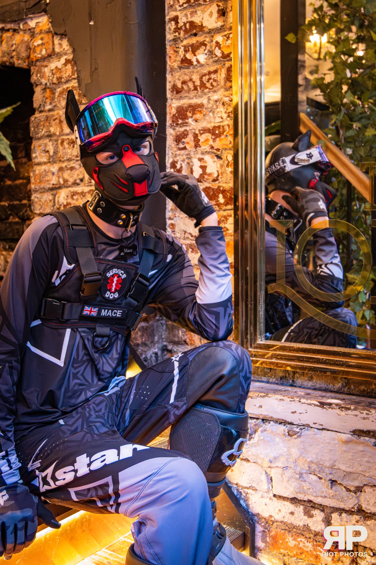 Mace - furry & pup photography by Fluffy Riot - photo 11