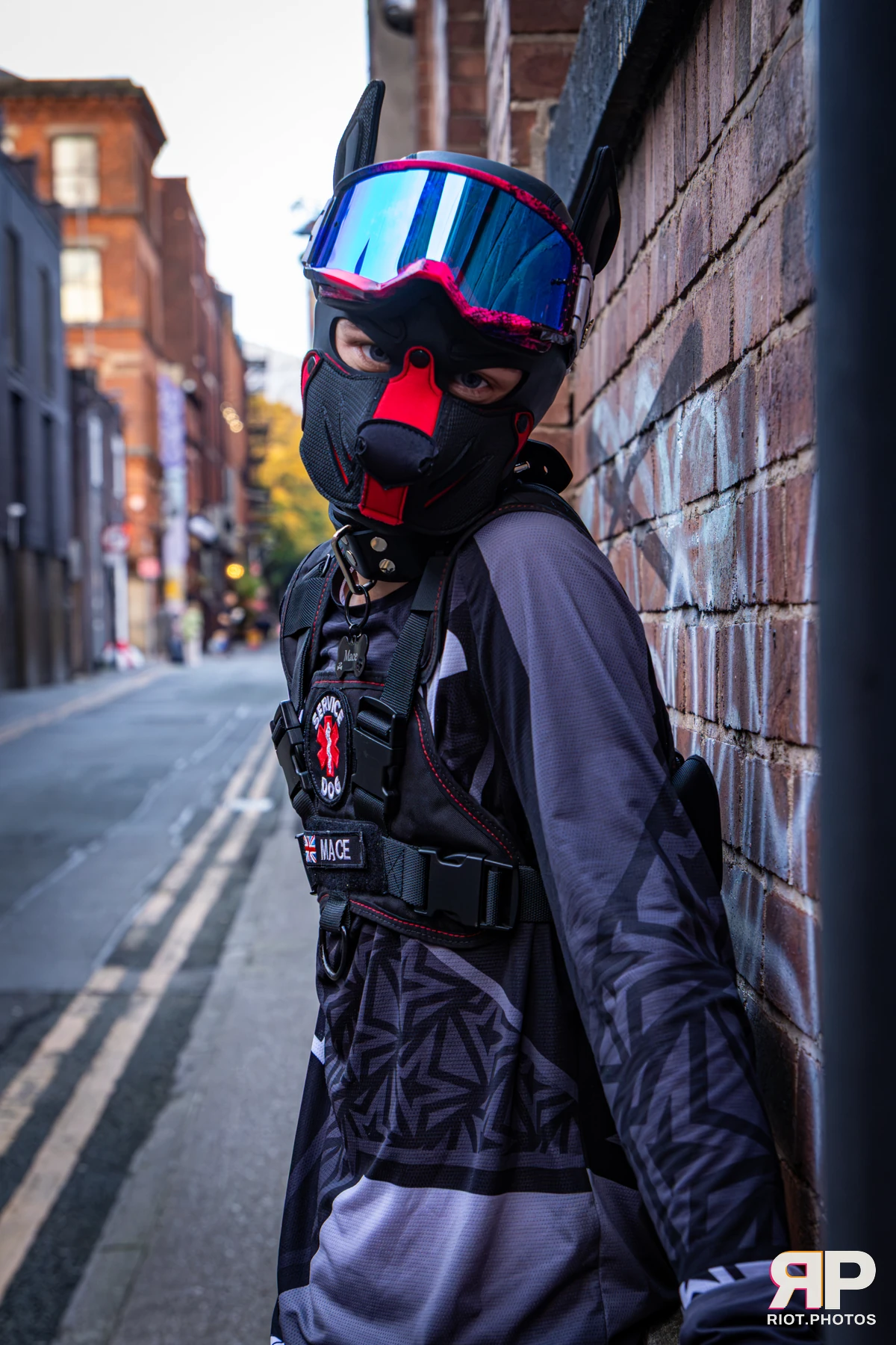 Mace - furry & pup photography by Fluffy Riot - photo 7