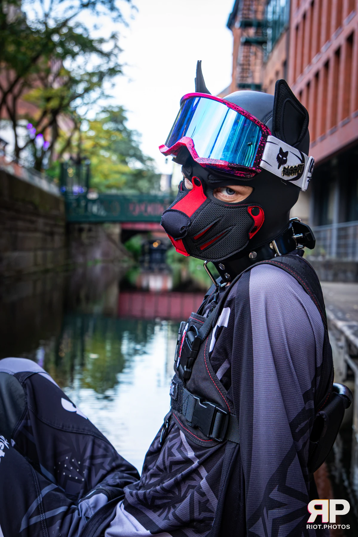 Mace - furry & pup photography by Fluffy Riot - photo 3