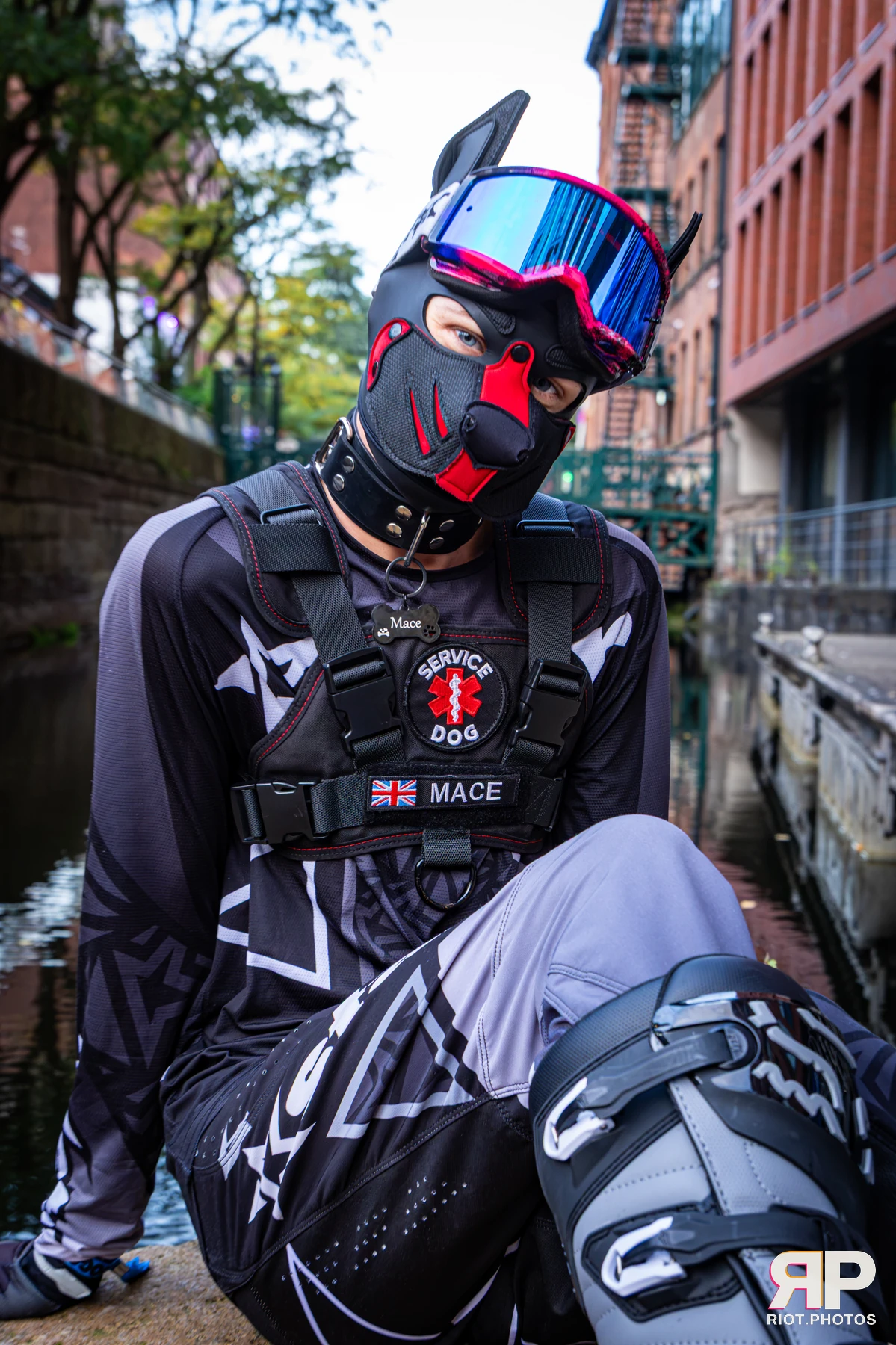 Mace - furry & pup photography by Fluffy Riot - photo 2