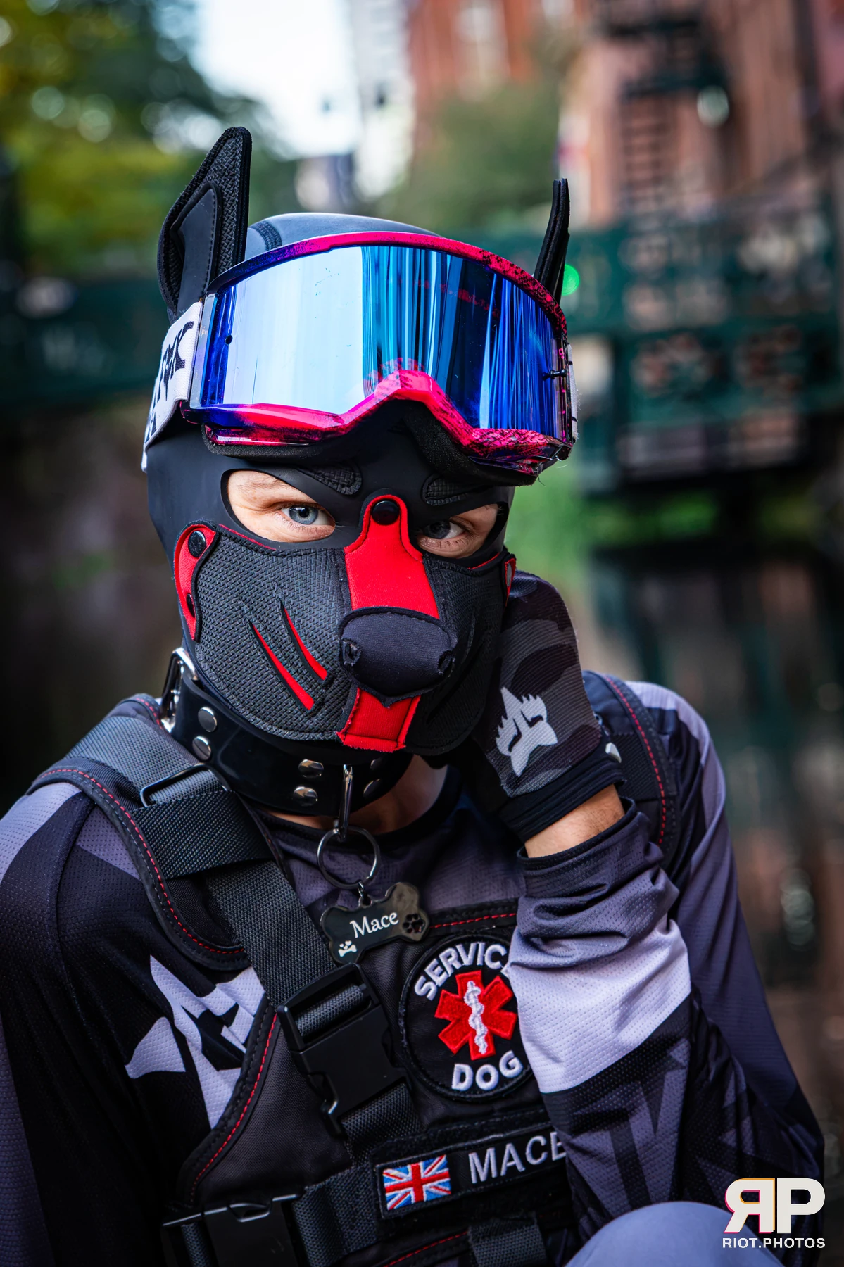 Mace - furry & pup photography by Fluffy Riot - photo 1