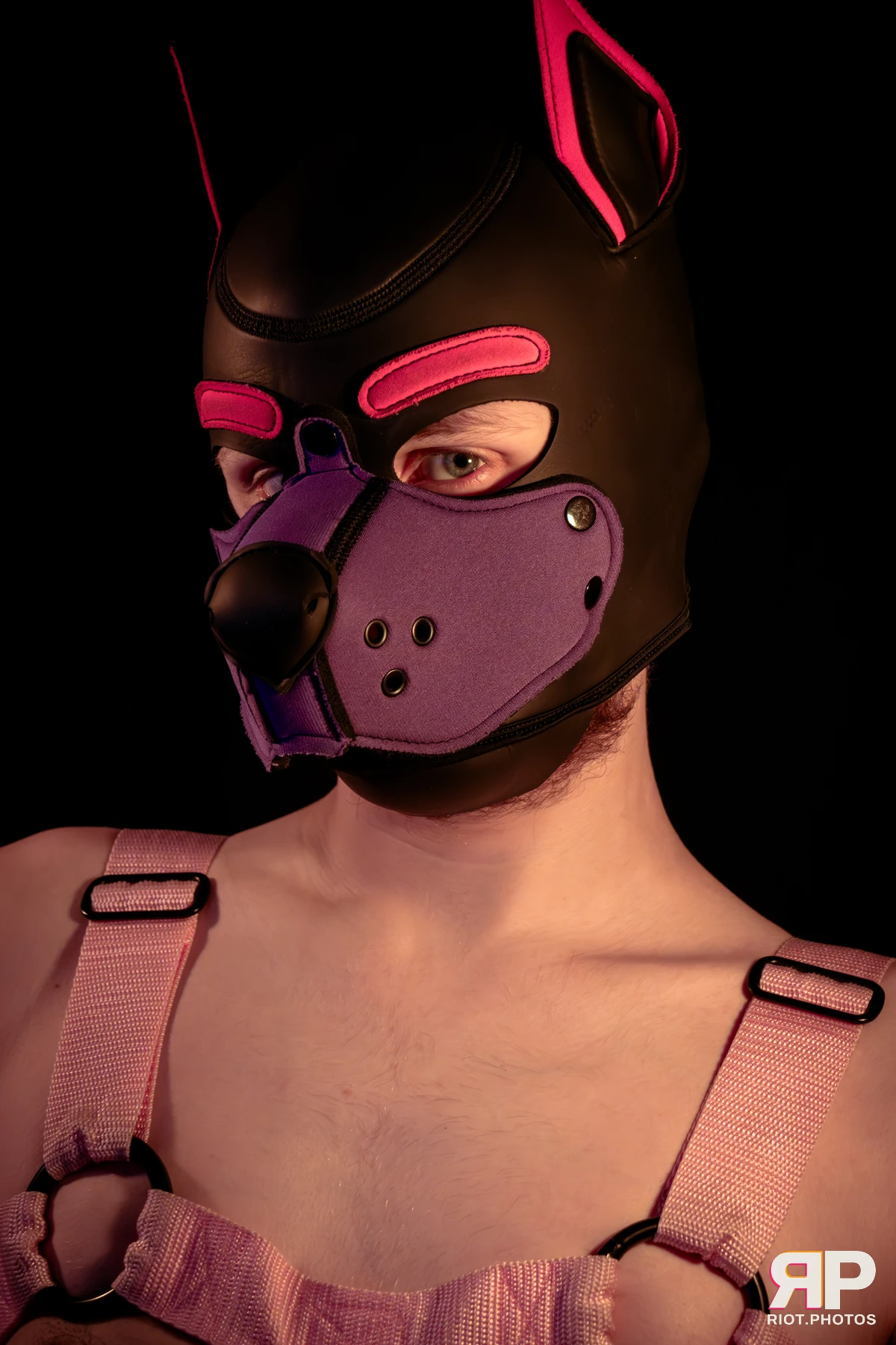 Mercury — furry & pup photography by Fluffy Riot — photo 26
