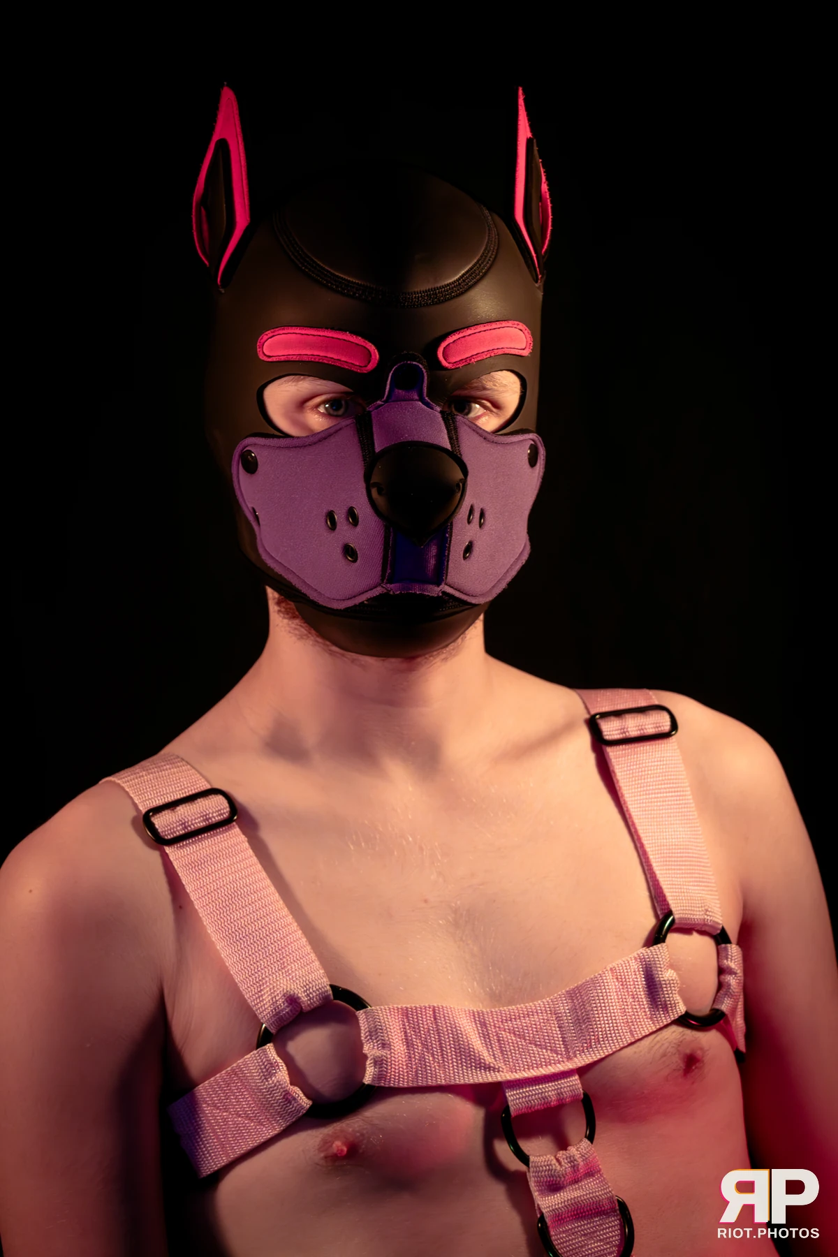Mercury — furry & pup photography by Fluffy Riot — photo 27