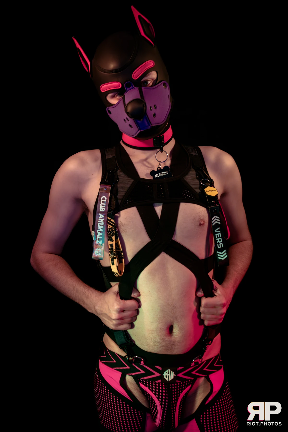 Mercury — furry & pup photography by Fluffy Riot — photo 55