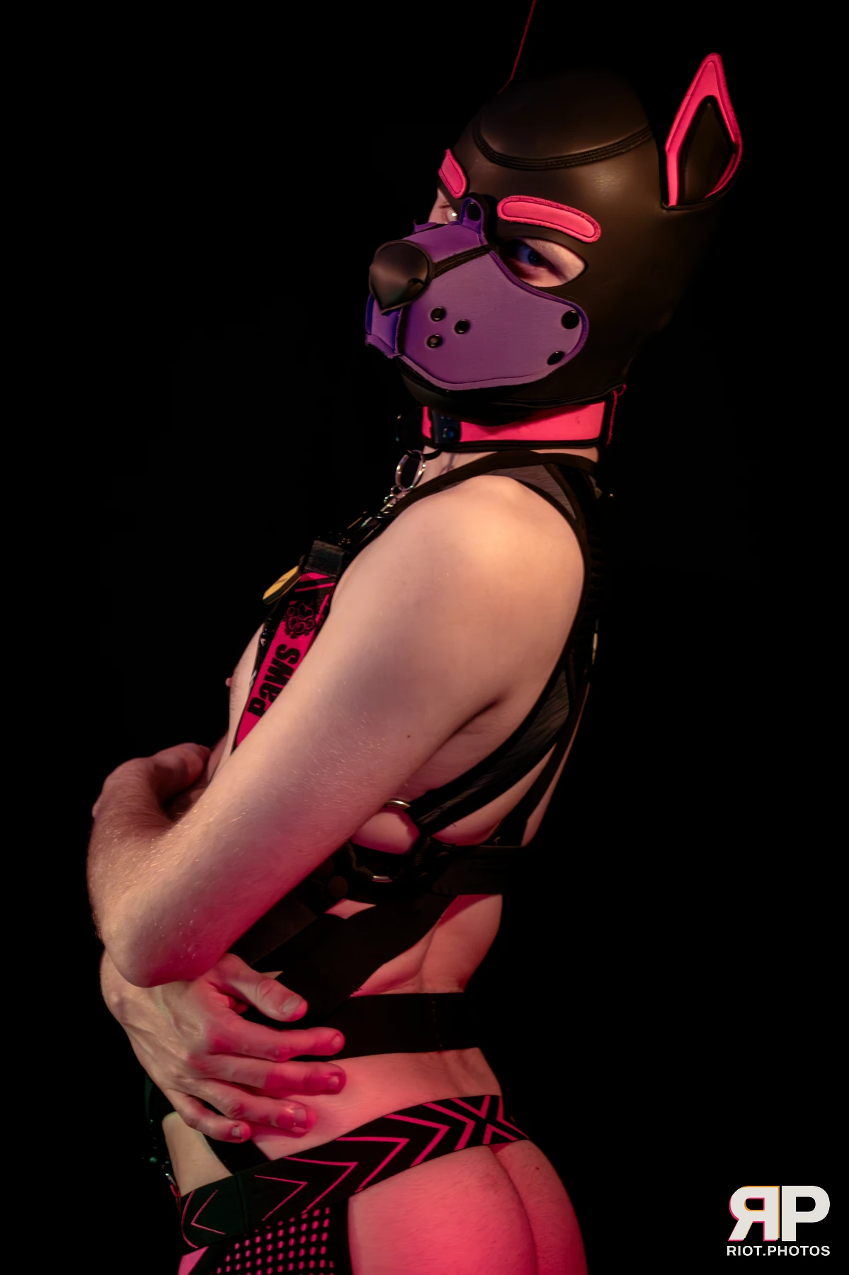 Mercury — furry & pup photography by Fluffy Riot — photo 61