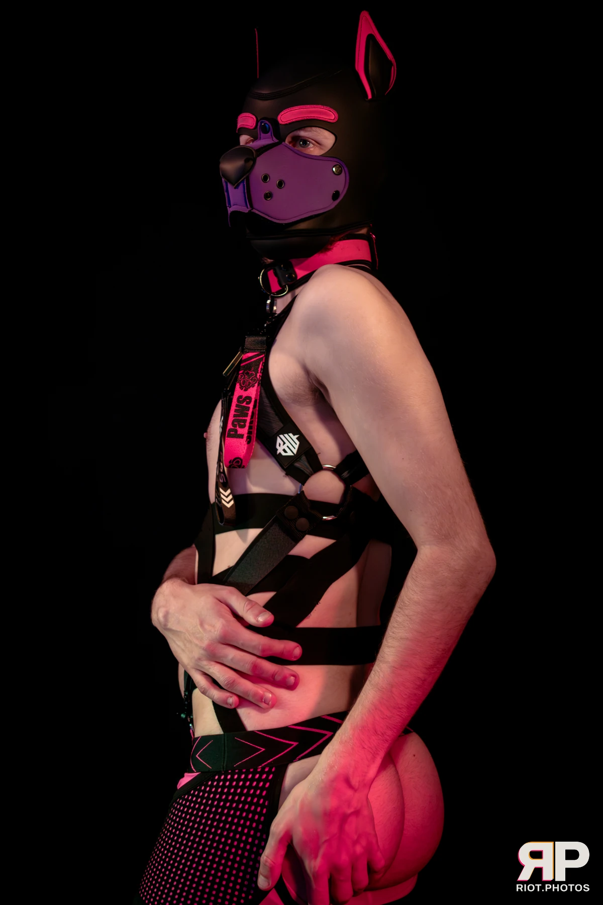 Mercury — furry & pup photography by Fluffy Riot — photo 63