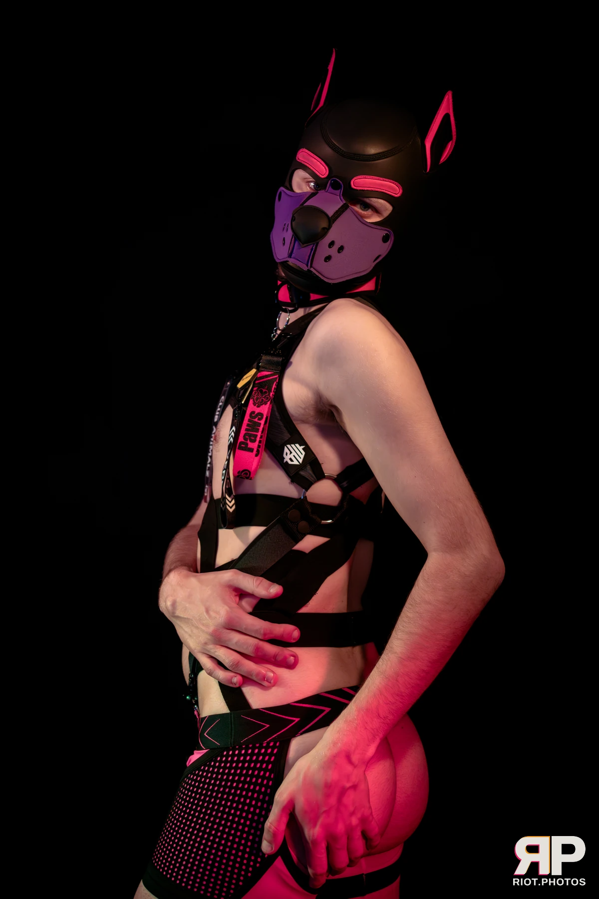 Mercury — furry & pup photography by Fluffy Riot — photo 64
