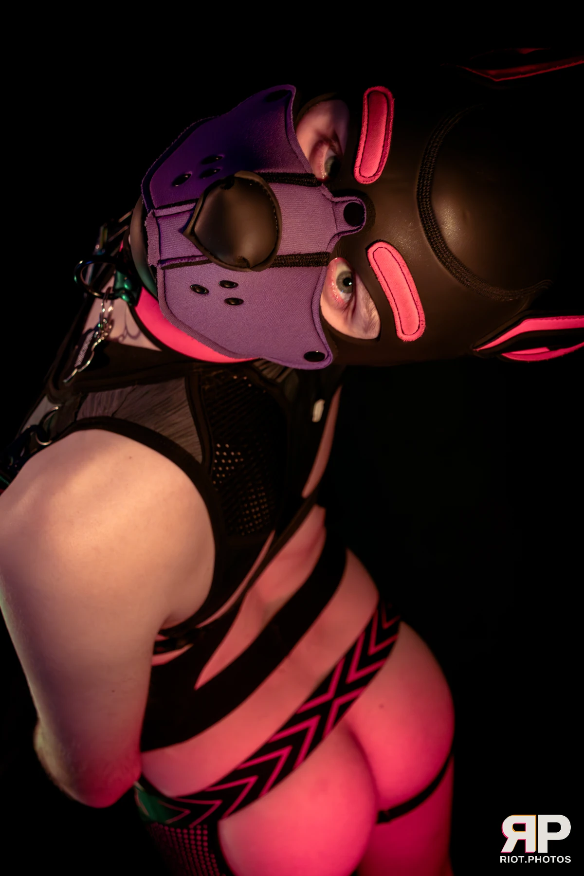 Mercury — furry & pup photography by Fluffy Riot — photo 65