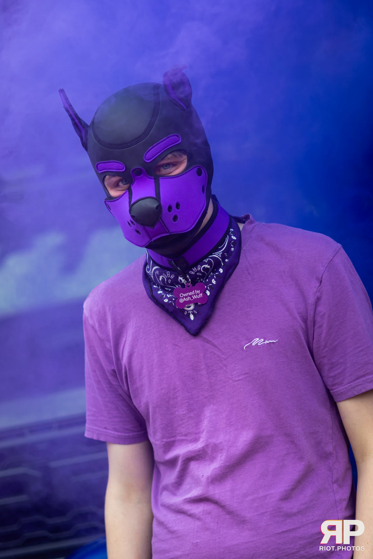 Mosaic Fox — furry & pup photography by Fluffy Riot — photo 8
