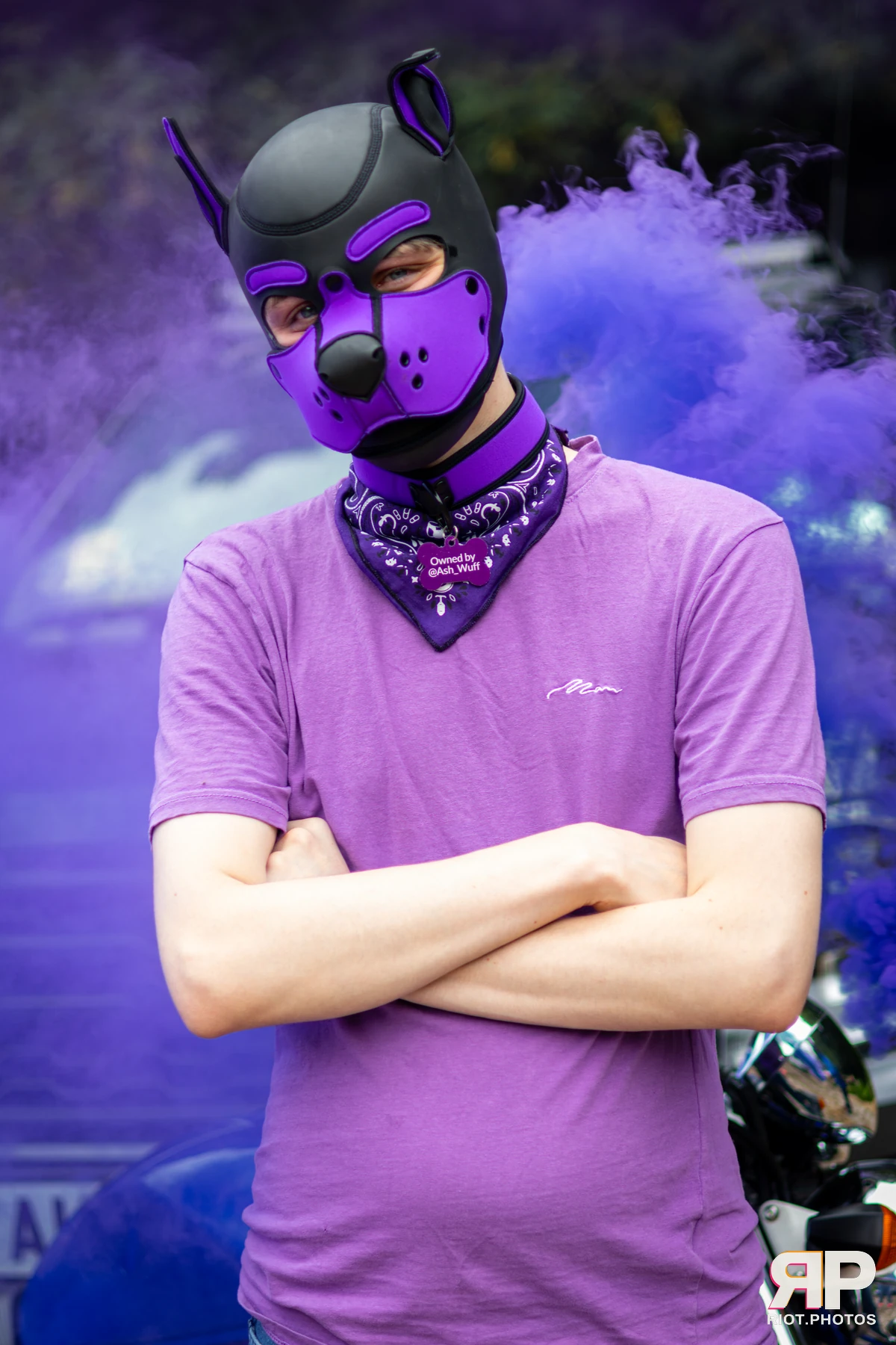 Mosaic Fox — furry & pup photography by Fluffy Riot — photo 10
