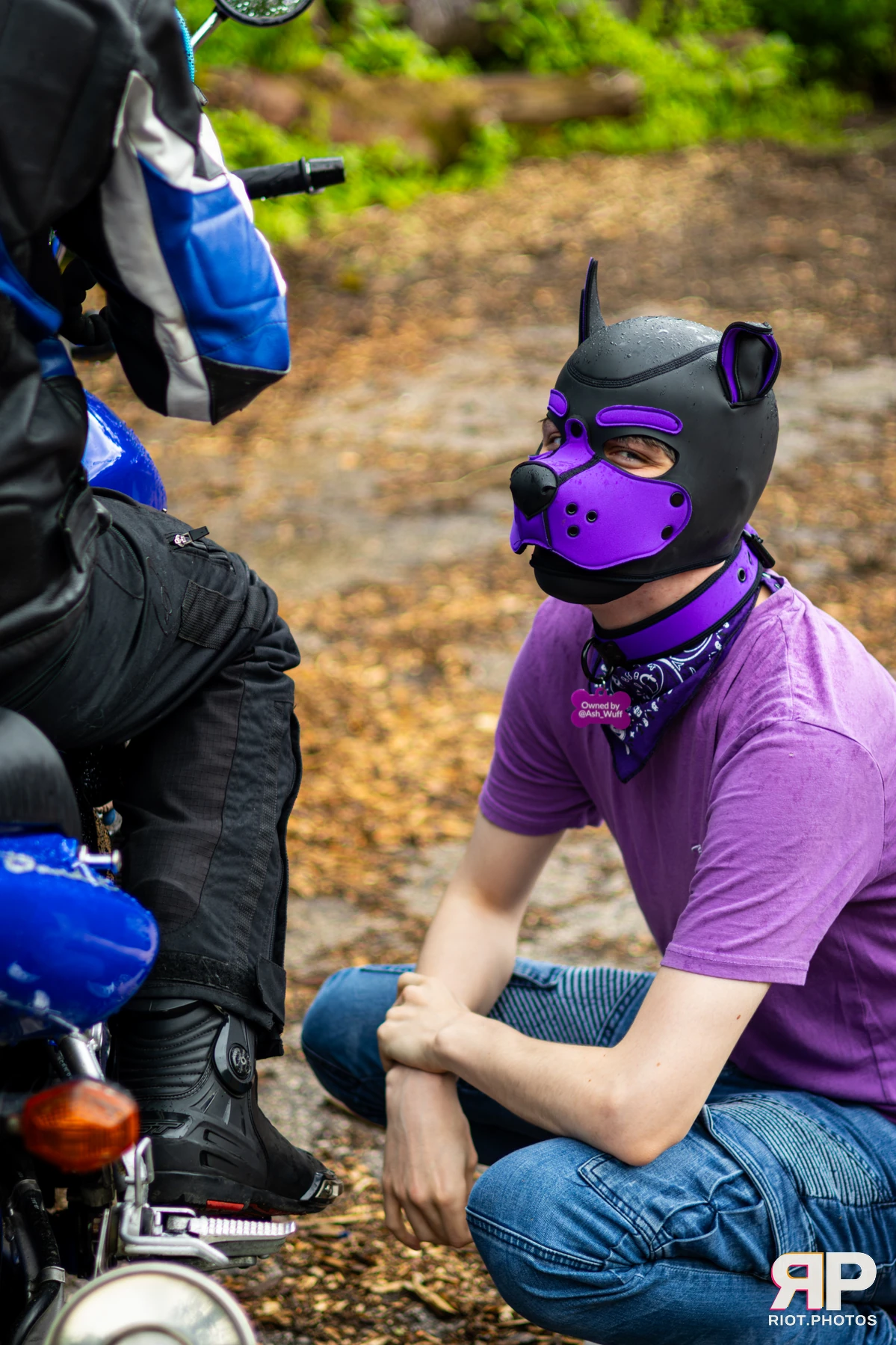 Mosaic Fox — furry & pup photography by Fluffy Riot — photo 14