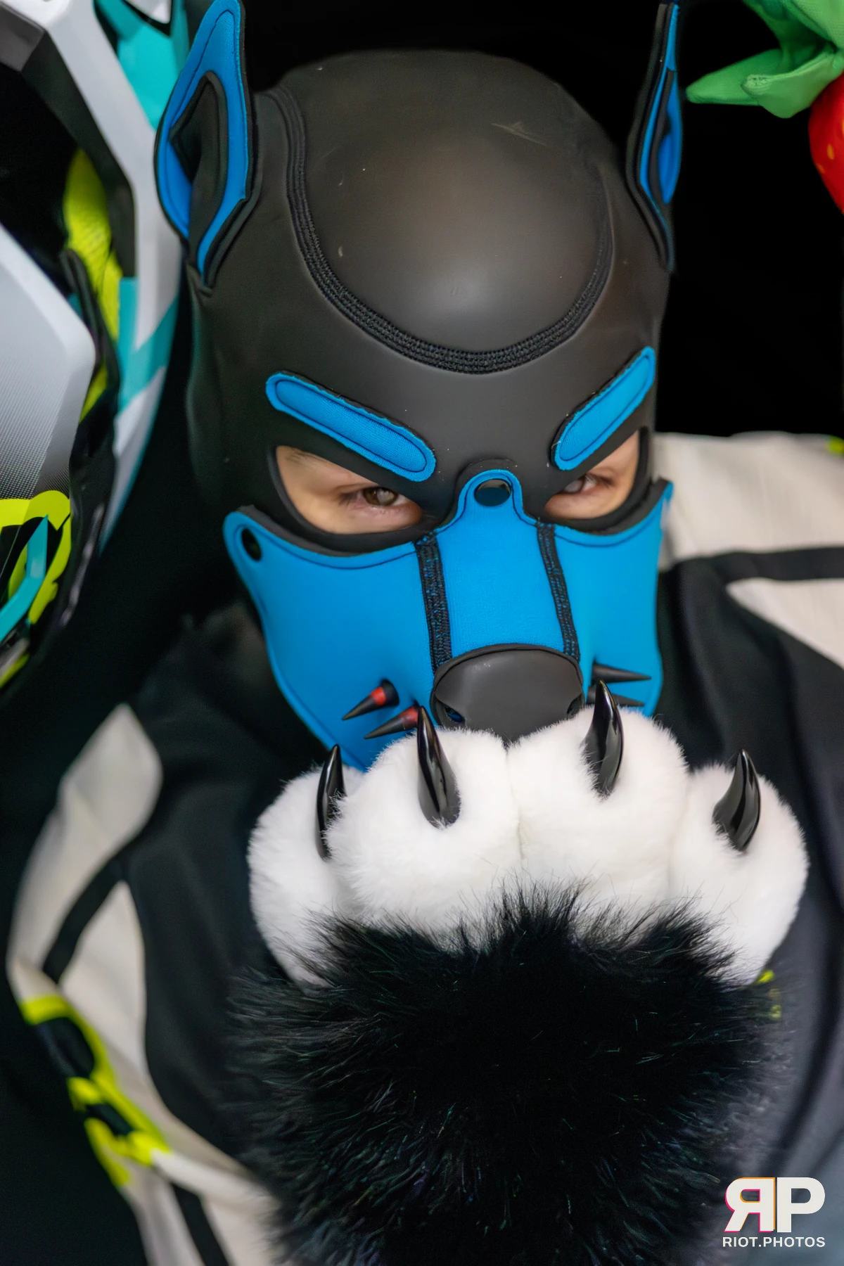 Soap Lyena — furry & pup photography by Fluffy Riot — photo 16
